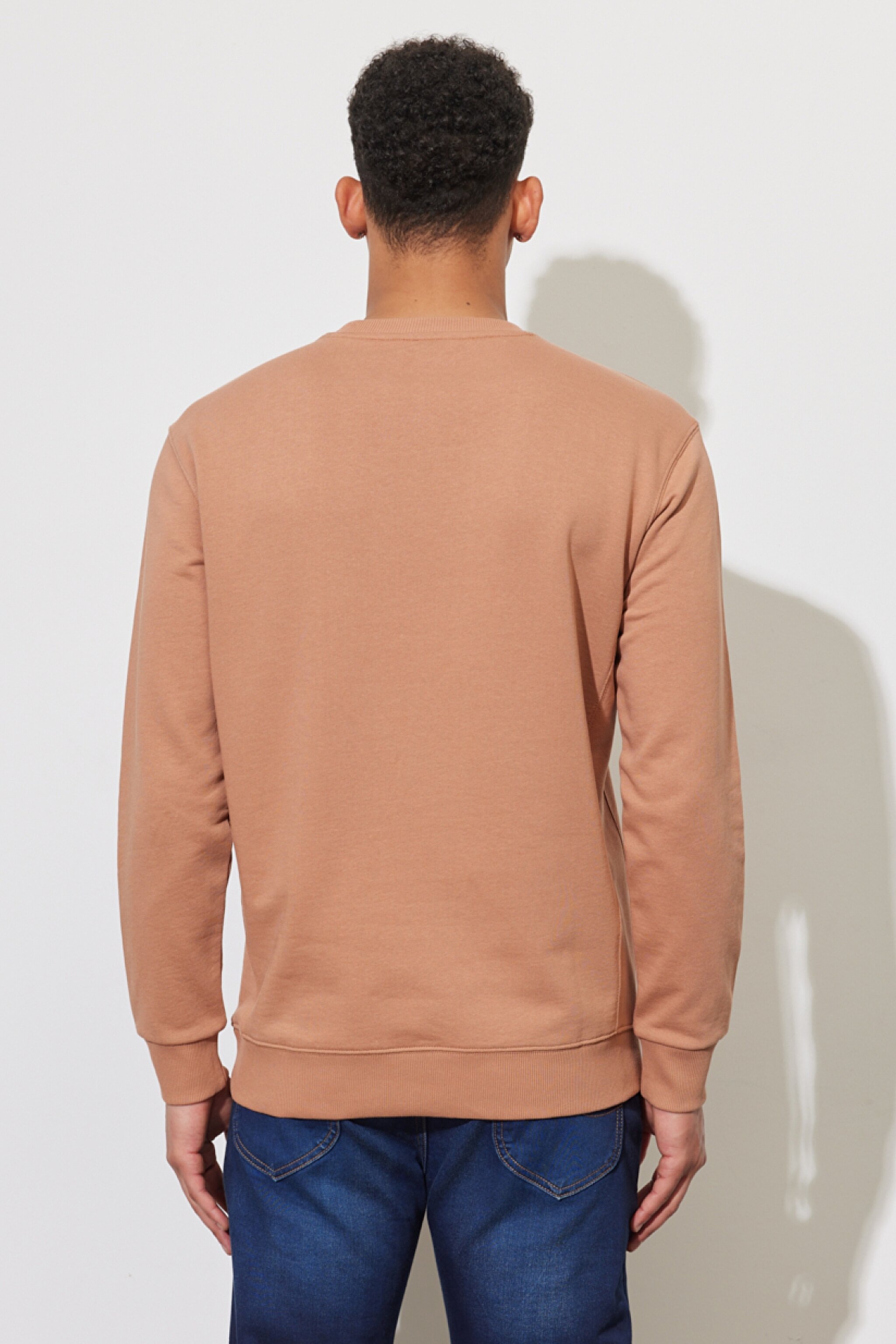Regular Fit Normal Kesim %100 Pamuk Bisiklet Yaka Tarçın Sweatshirt - Cider-L81IFWA08 (görsel 5)