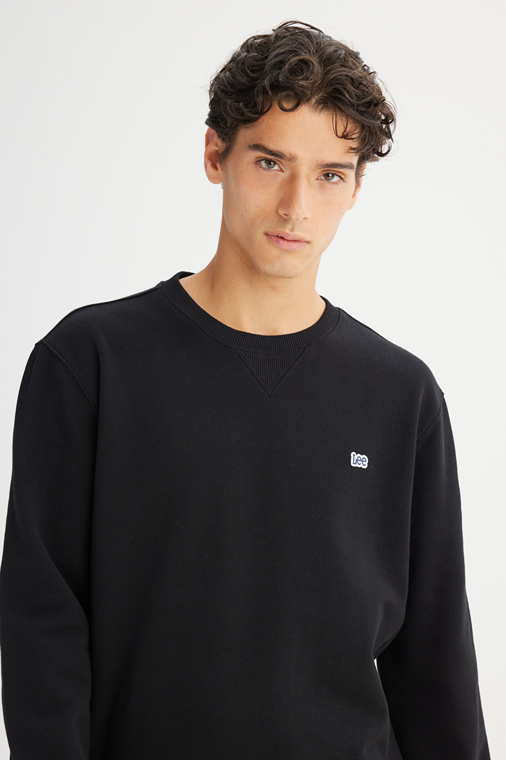Regular Fit Normal Kesim Bisiklet Yaka %100 Pamuk İçi Polarlı Sweatshirt - Black-L81IRY100 (görsel 4)