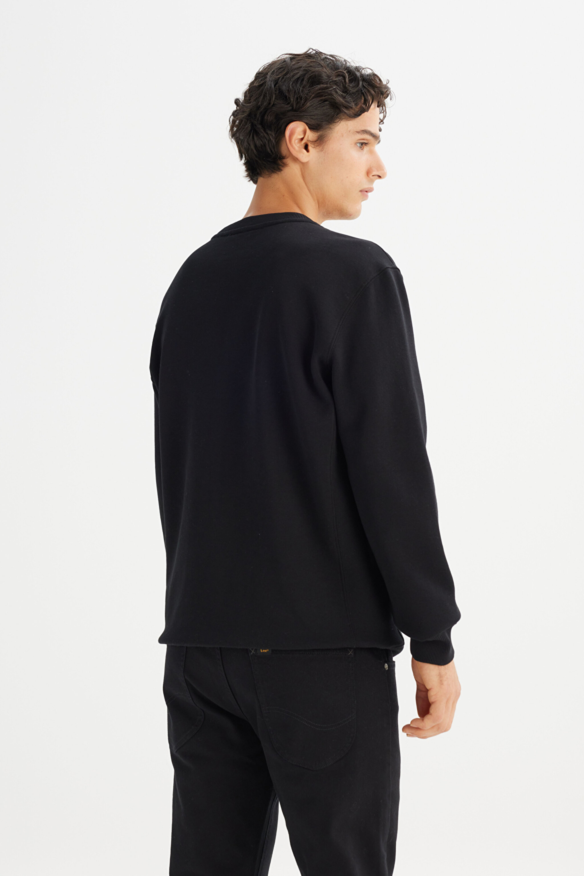 Regular Fit Normal Kesim Bisiklet Yaka %100 Pamuk İçi Polarlı Sweatshirt - Black-L81IRY100 (görsel 5)