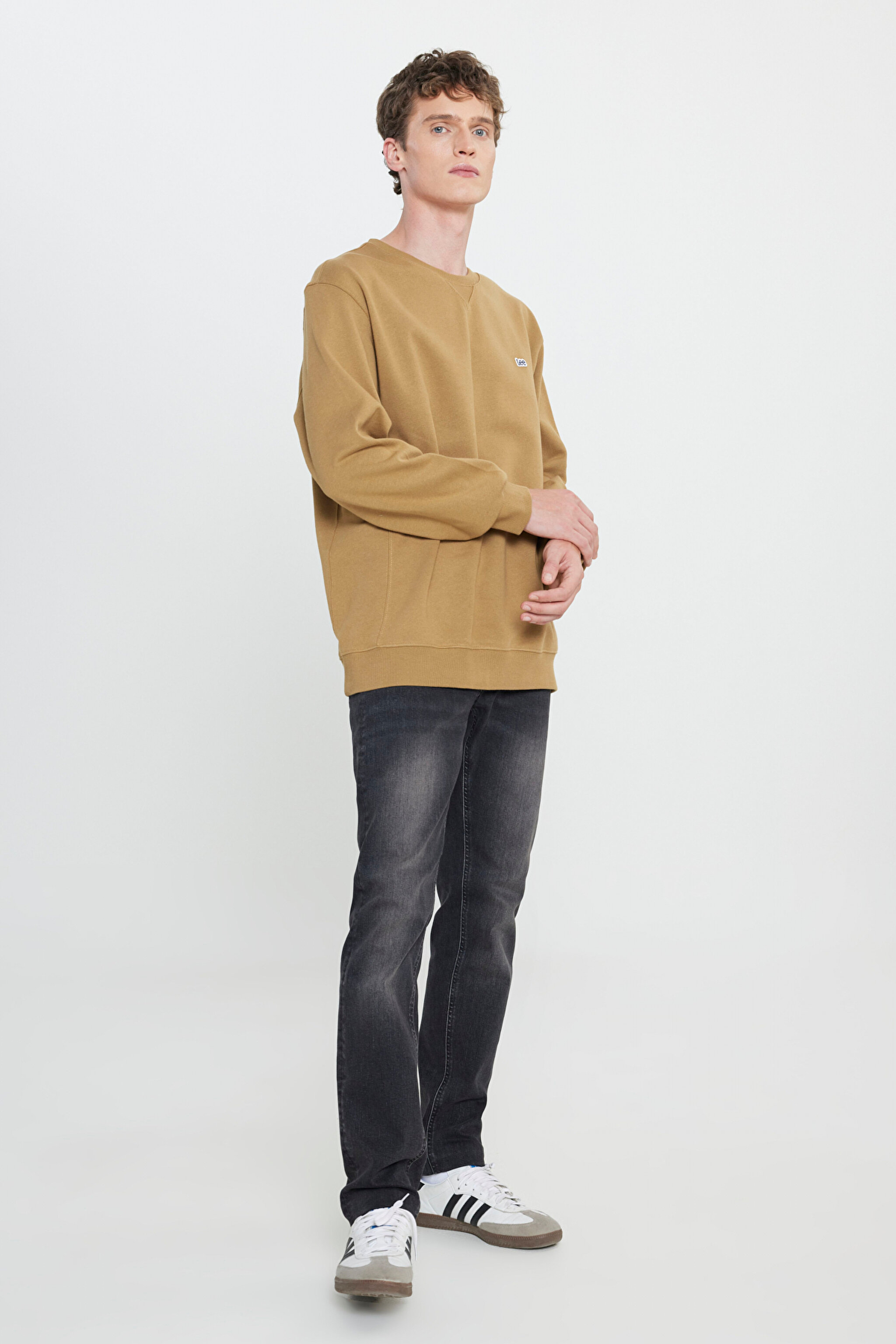 Regular Fit Normal Kesim %100 Pamuk Bisiklet Yaka Şardonlu Sweatshirt - Ammonite-L81IRY85 (görsel 3)