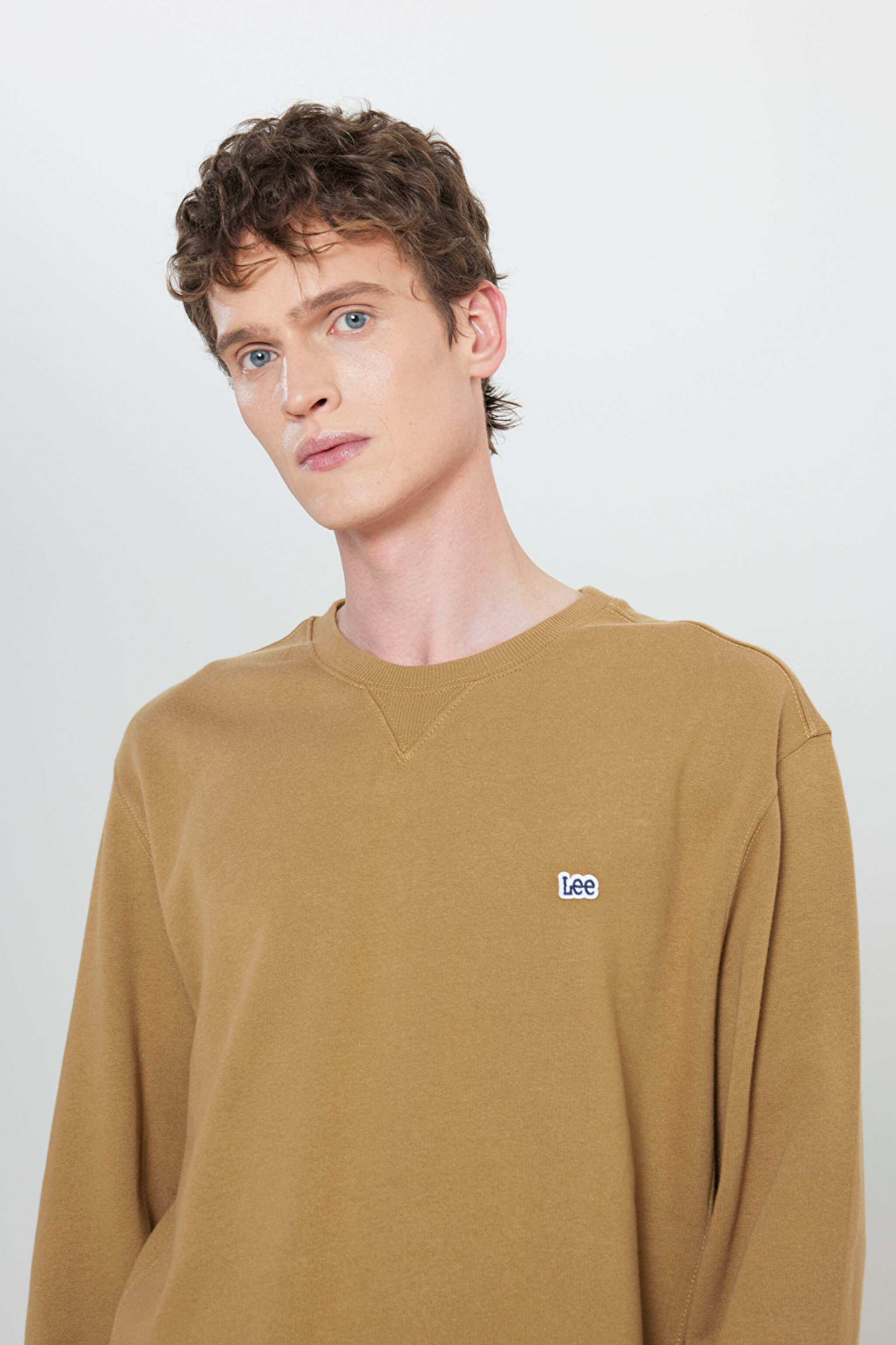 Regular Fit Normal Kesim %100 Pamuk Bisiklet Yaka Şardonlu Sweatshirt - Ammonite-L81IRY85 (görsel 4)