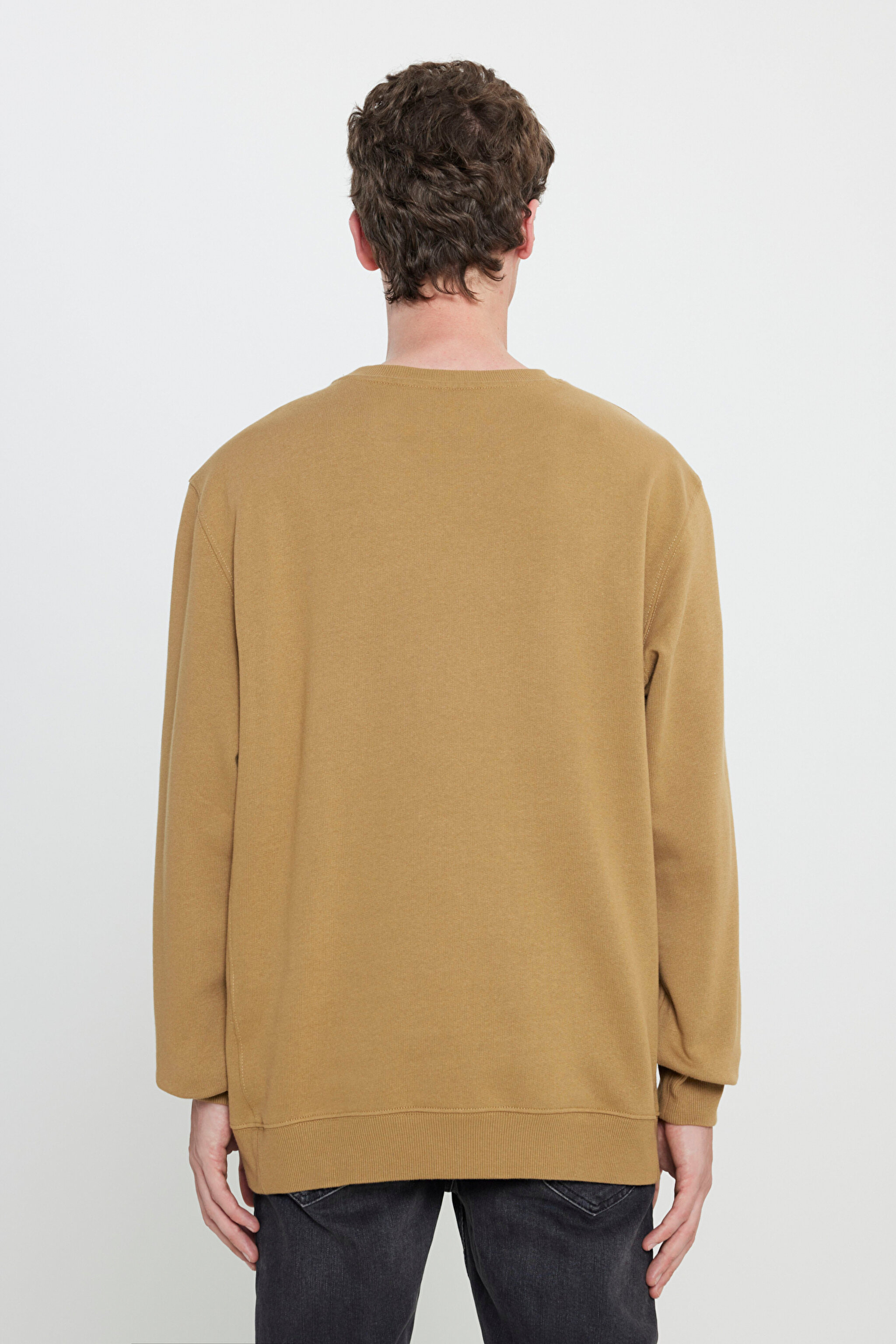Regular Fit Normal Kesim %100 Pamuk Bisiklet Yaka Şardonlu Sweatshirt - Ammonite-L81IRY85 (görsel 5)