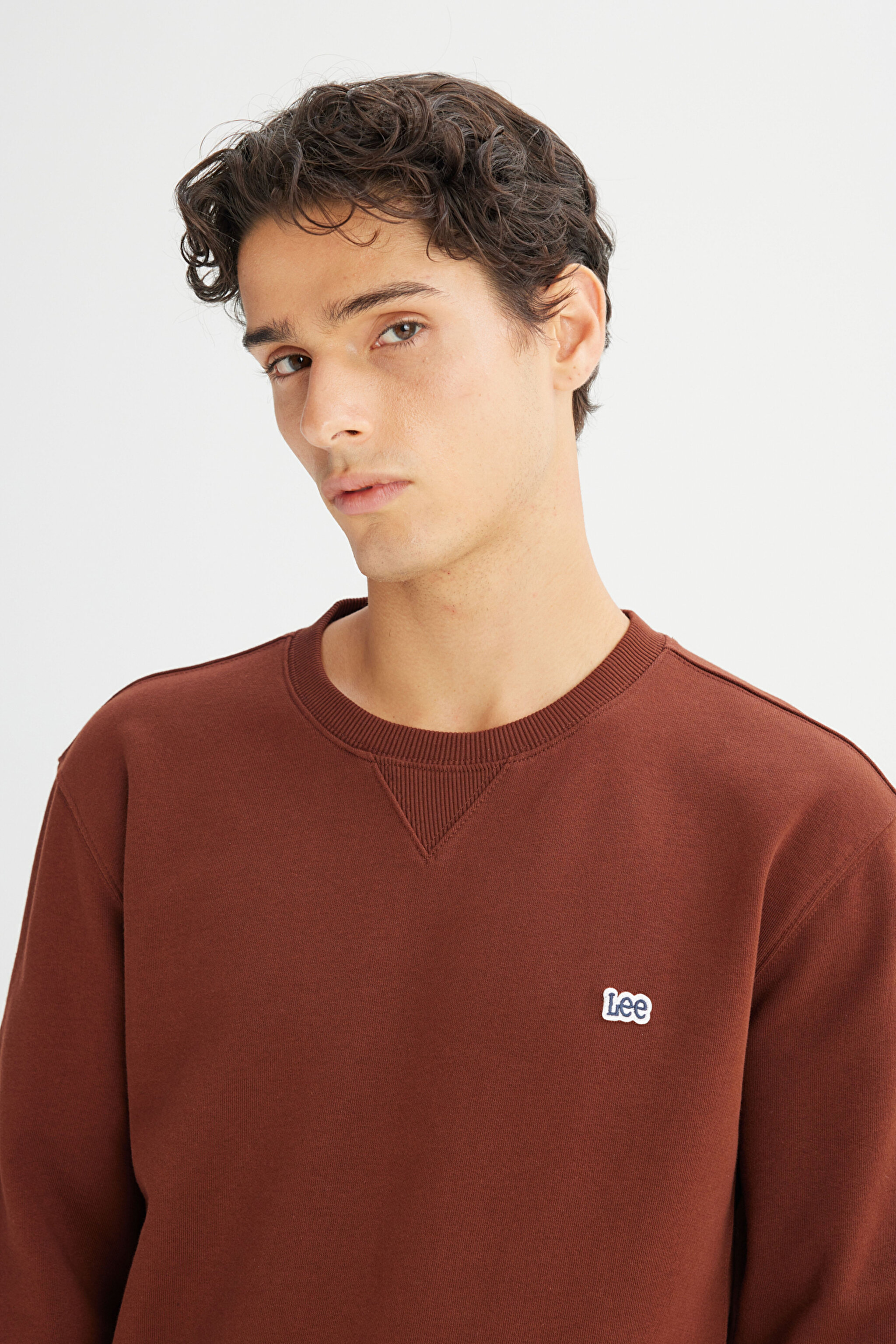 %100 Pamuk Regular Fit Normal Kesim Bisiklet Yaka Kiremit Rengi Sweatshirt - LuxBrown-L81IRY906 (görsel 4)