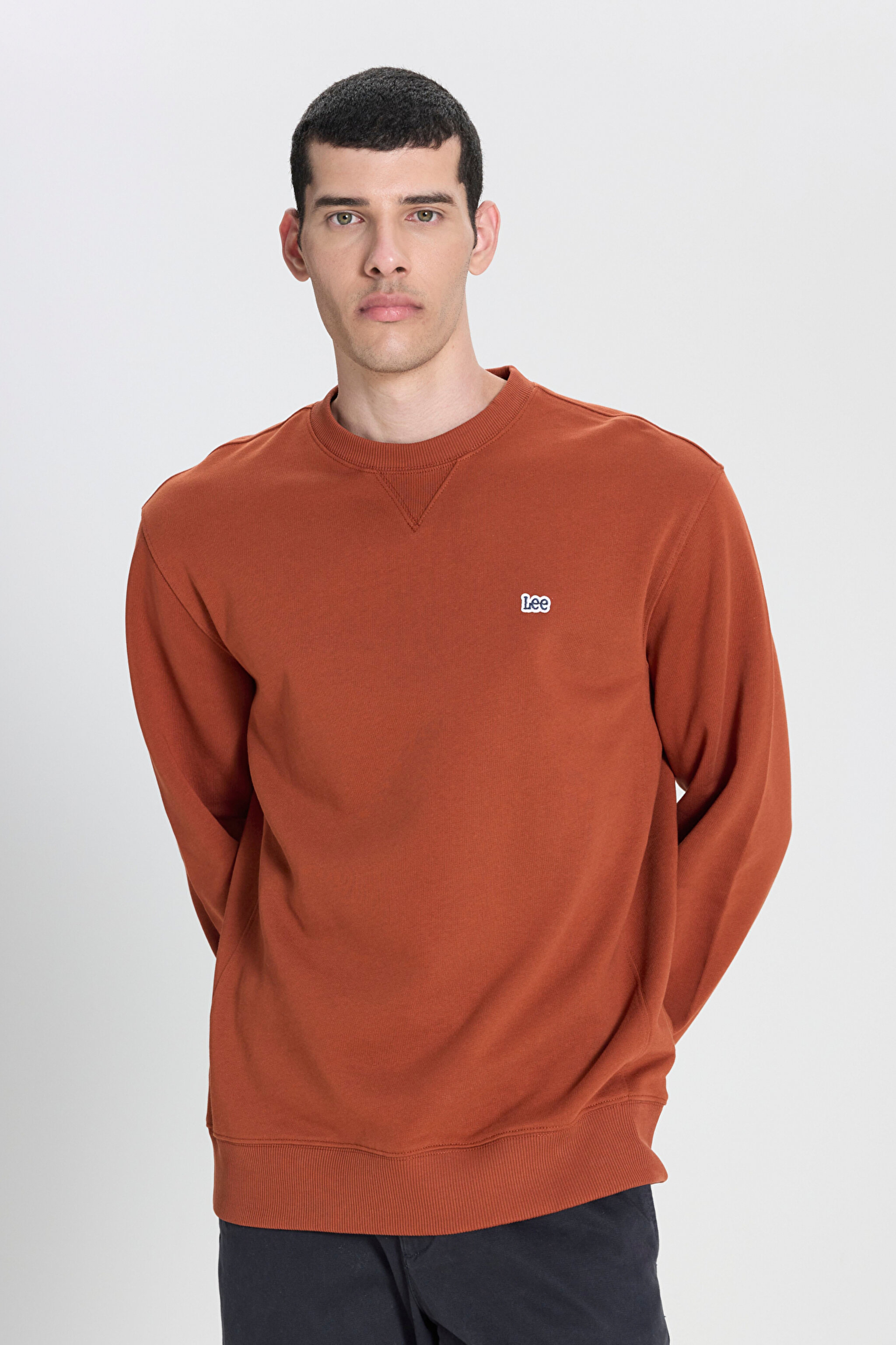 Regular Fit Normal Kesim Bisiklet Yaka %100 Pamuk Tarçın Sweatshirt - Sweet Maple-L81IRY970 (görsel 2)
