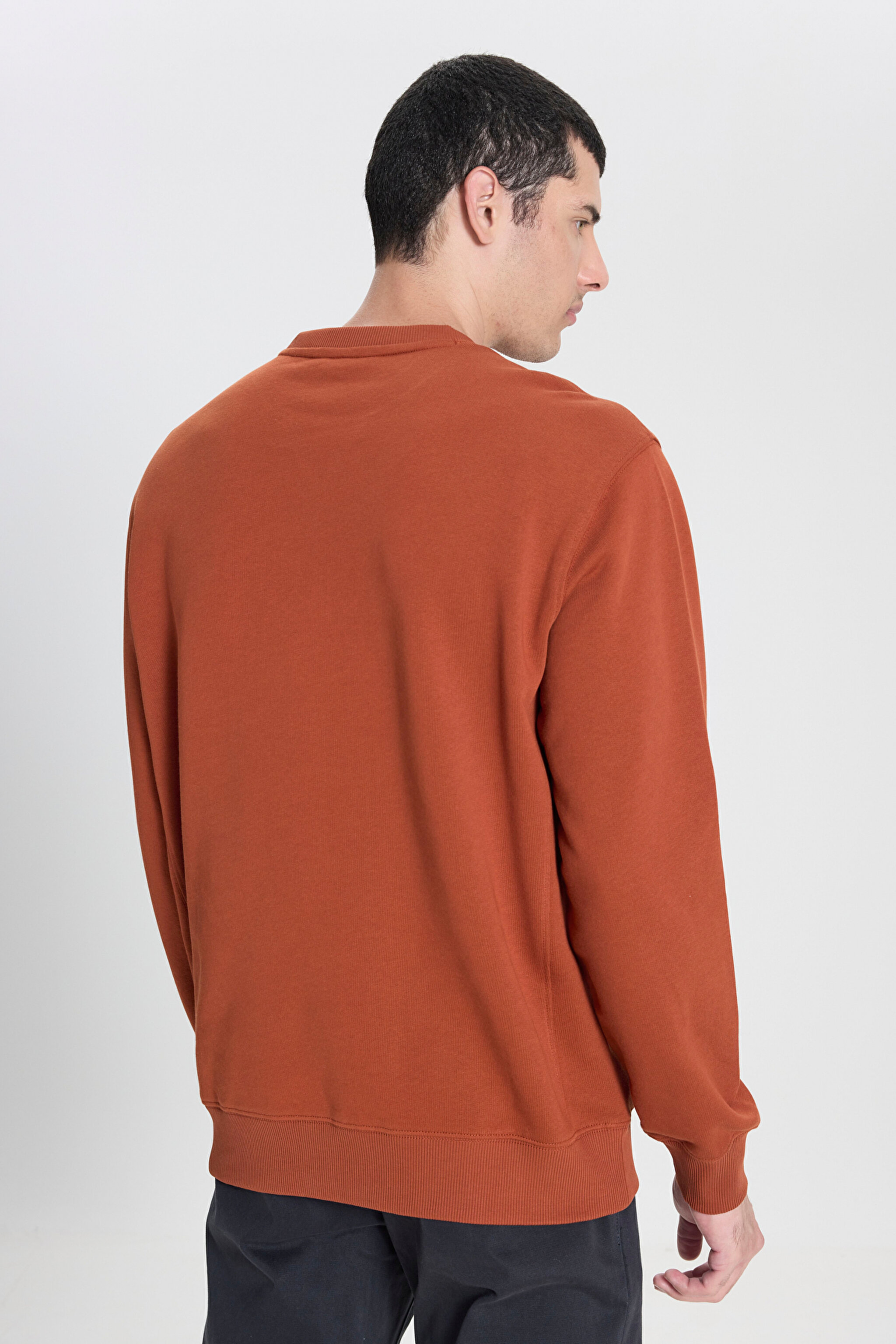 Regular Fit Normal Kesim Bisiklet Yaka %100 Pamuk Tarçın Sweatshirt - Sweet Maple-L81IRY970 (görsel 5)