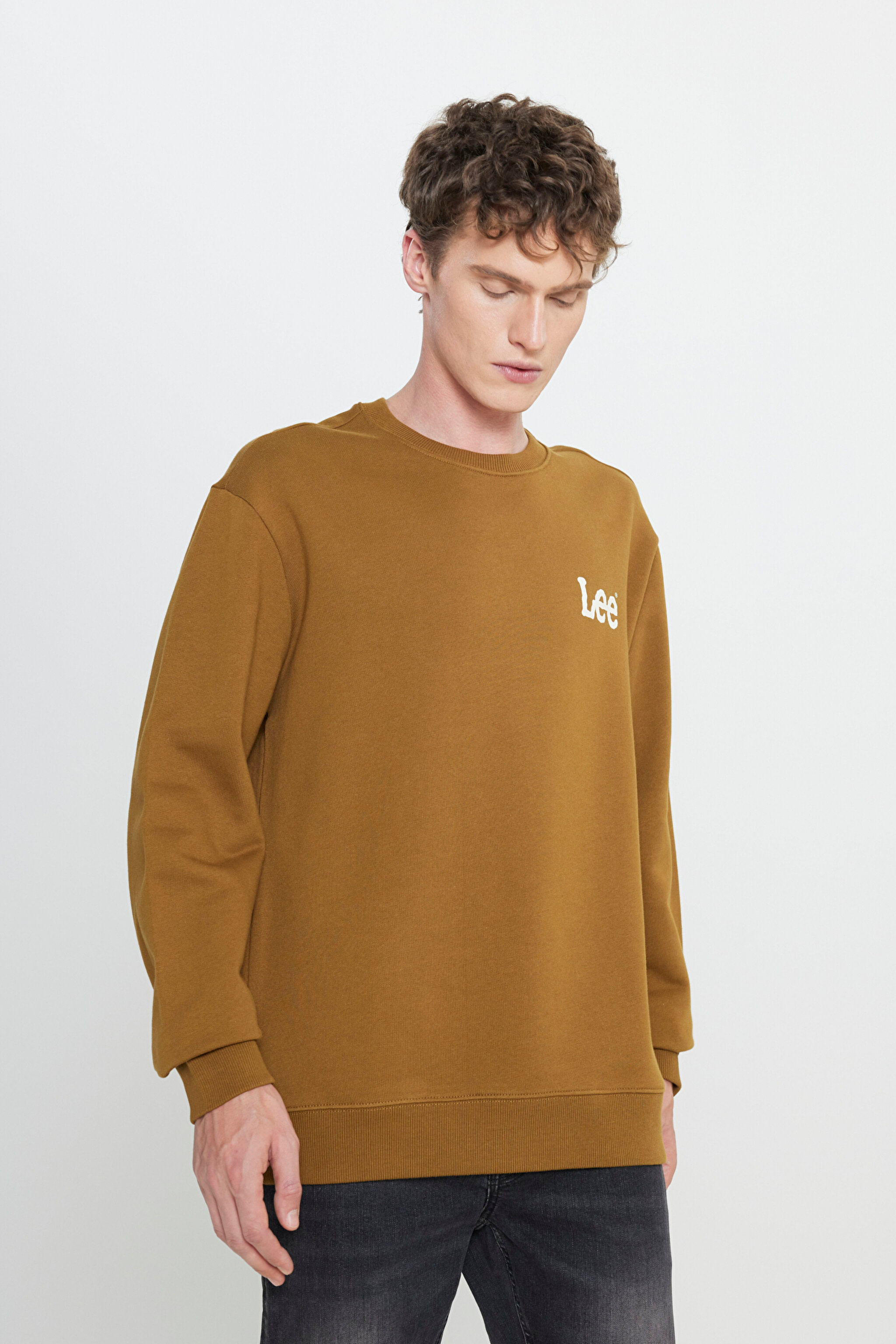 Regular Fit Normal Kesim %100 Pamuk Bisiklet Yaka Tarçın Sweatshirt