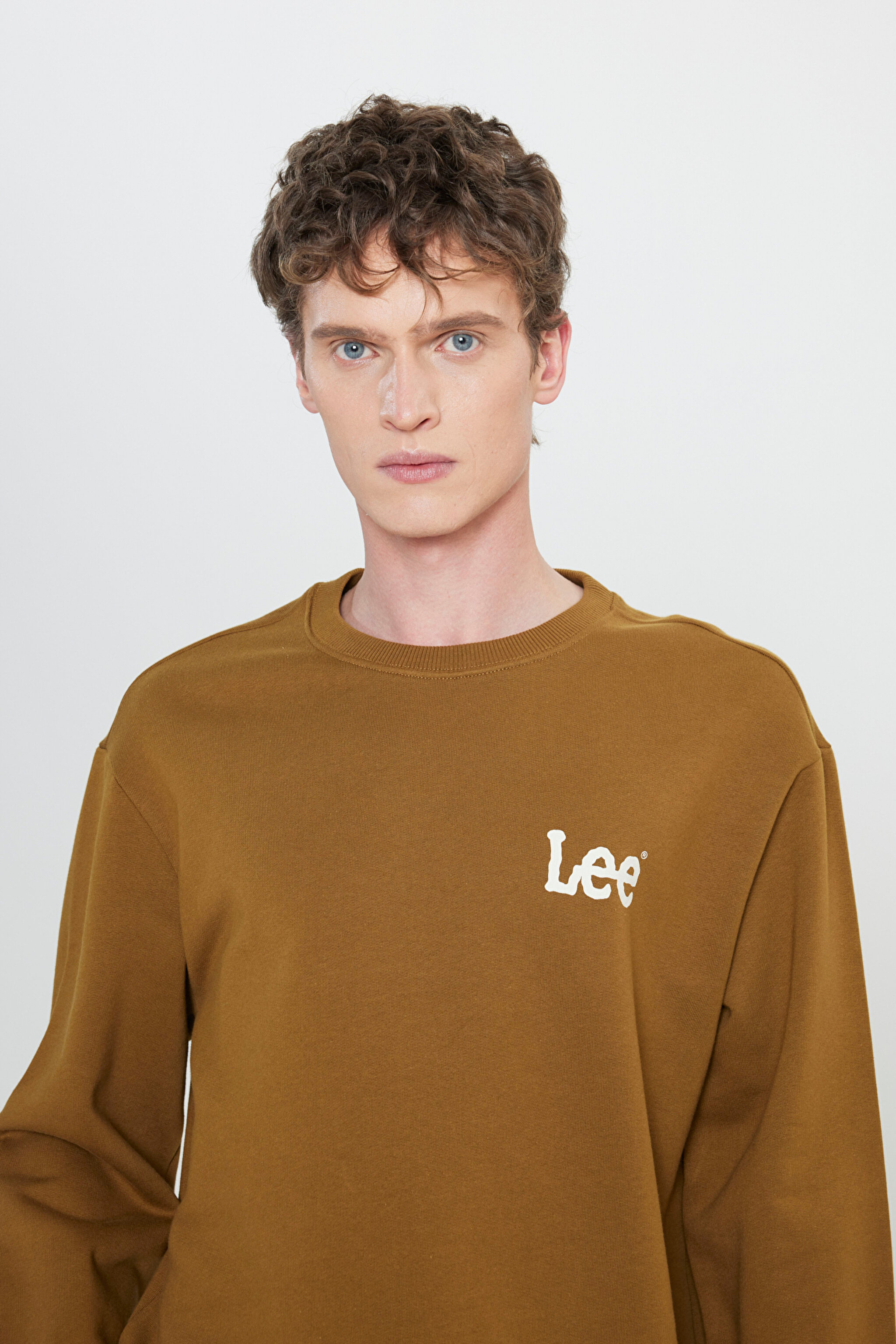 Regular Fit Normal Kesim %100 Pamuk Bisiklet Yaka Tarçın Sweatshirt - Tumbleweed-L81MRF84 (görsel 4)