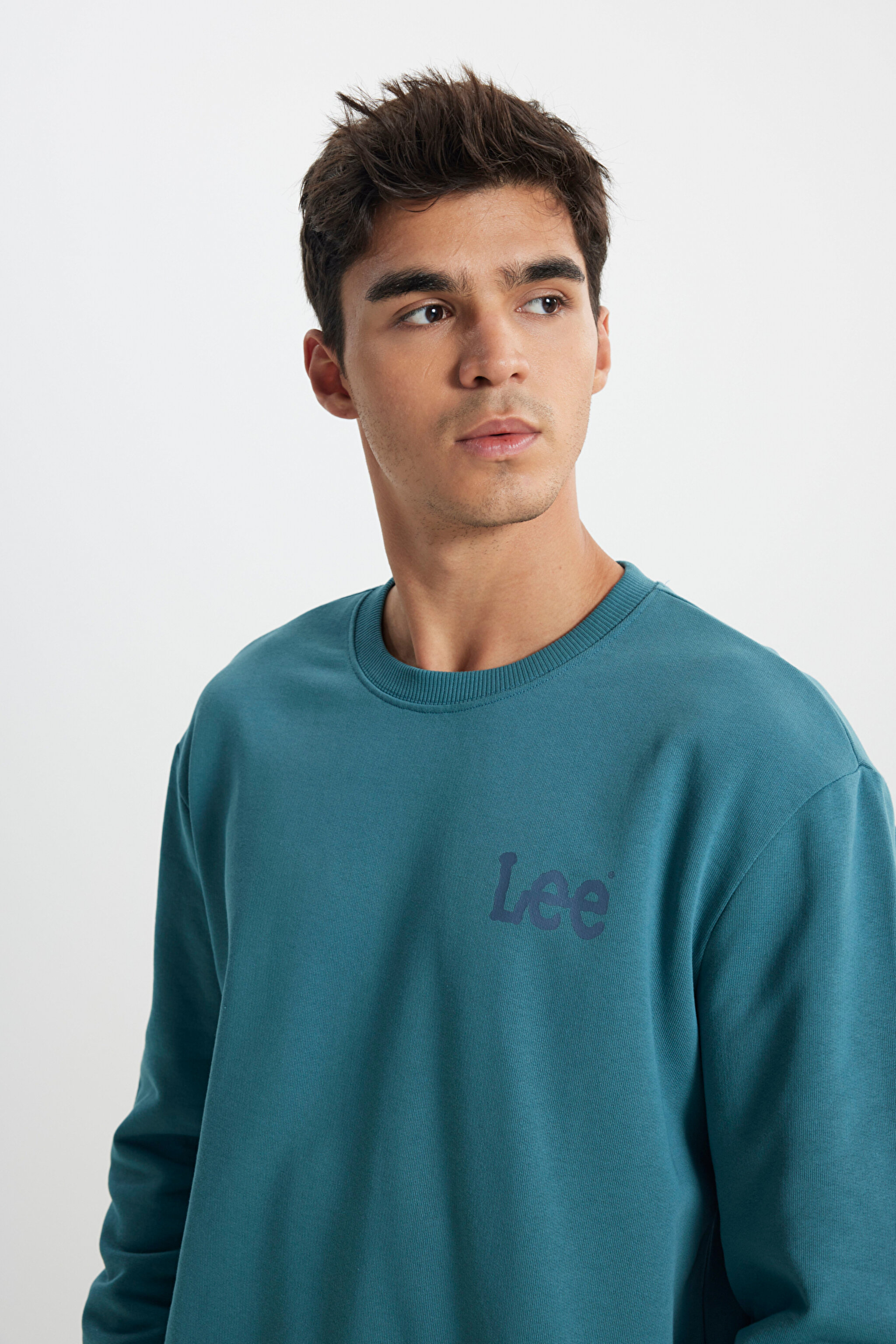 Regular Fit Normal Kesim %100 Pamuk Bisiklet Yaka Turkuaz Sweatshirt - Eden-L81MRFA64 (görsel 4)