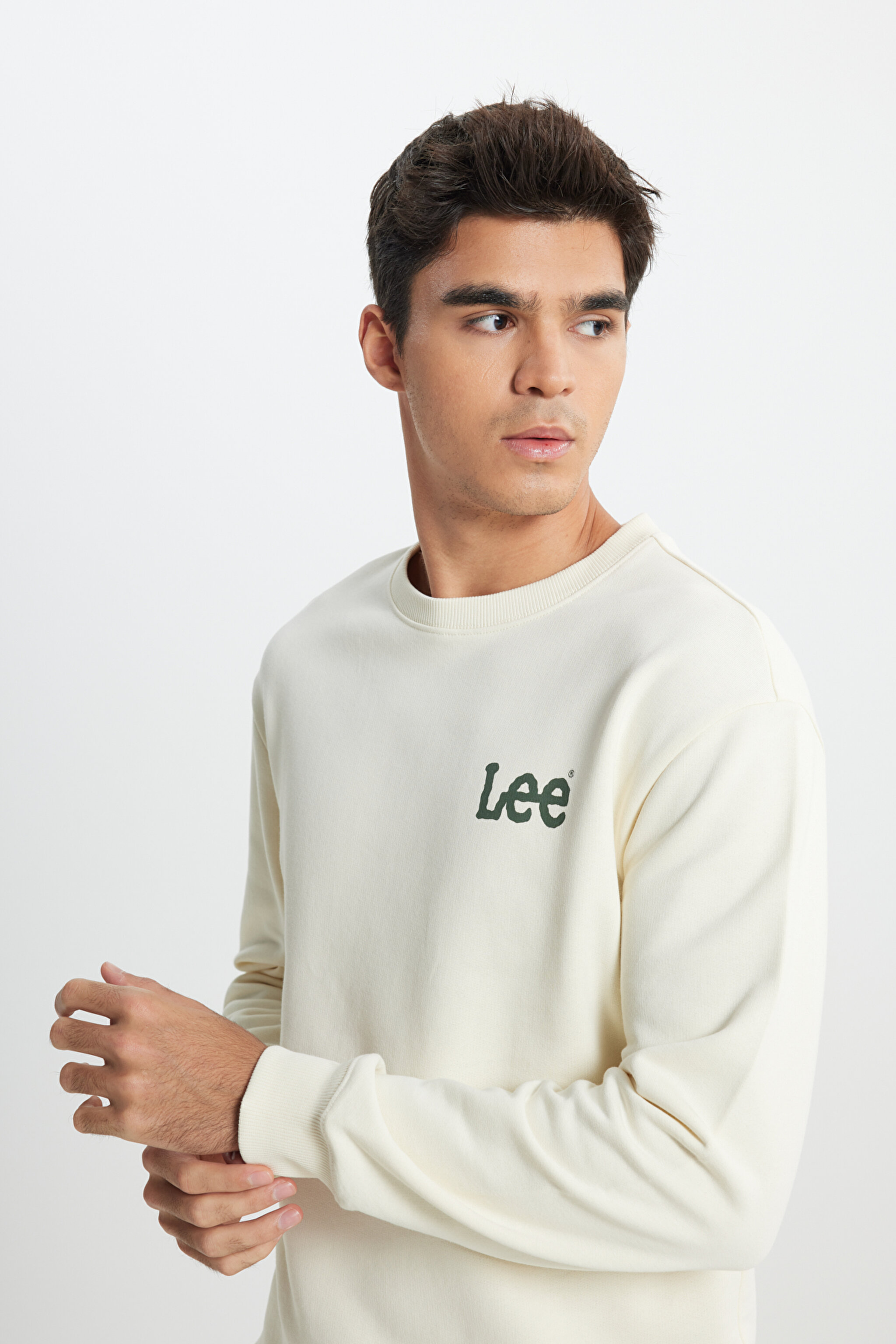 Regular Fit Normal Kesim %100 Pamuk Bisiklet Yaka Ekru Sweatshirt - Ecru-L81MRFNQ (görsel 2)