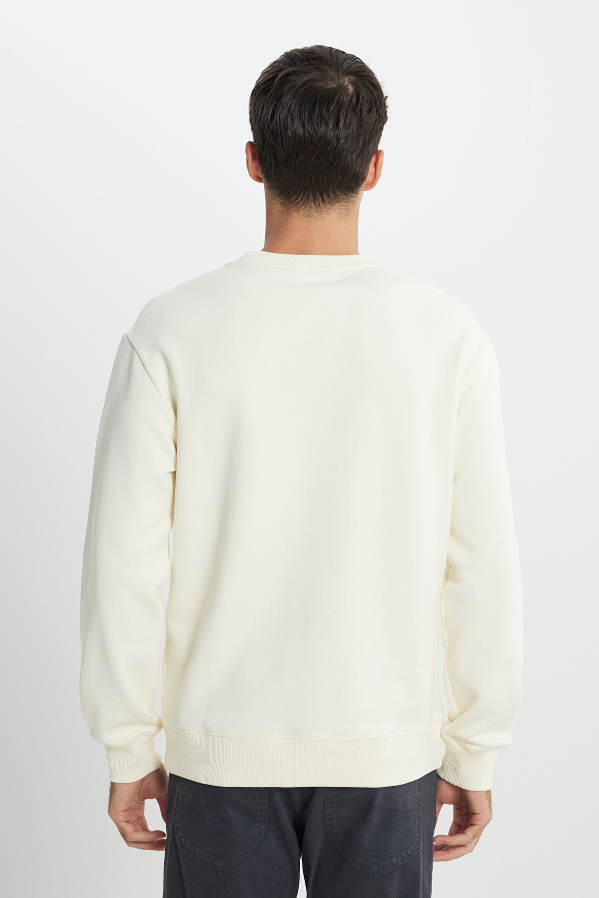 Regular Fit Normal Kesim %100 Pamuk Bisiklet Yaka Ekru Sweatshirt - Ecru-L81MRFNQ (görsel 5)