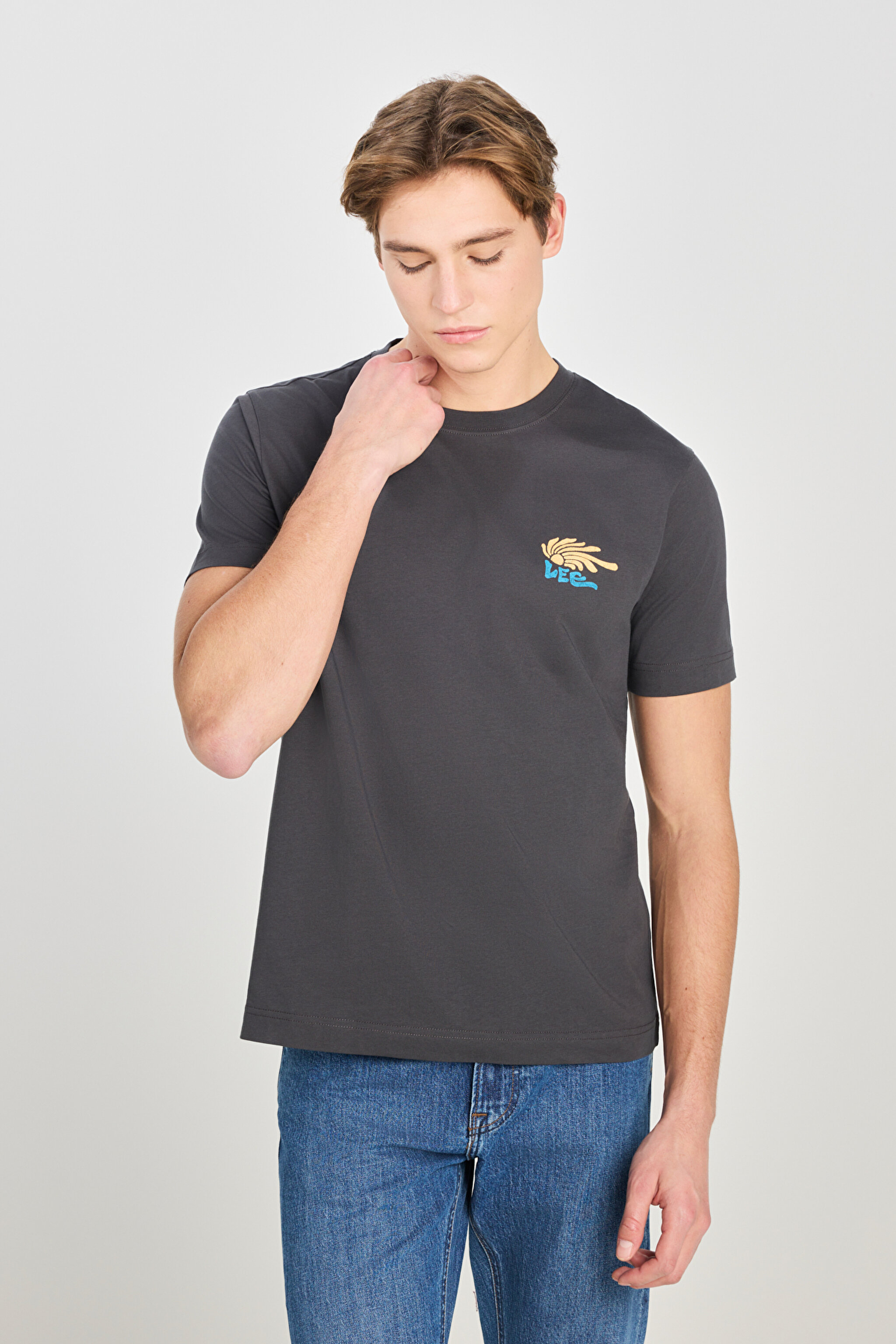 %100 Pamuk Regular Fit Normal Kesim Bisiklet Yaka Baskılı Antrasit Tişört - Anthracite-LD725771003 (görsel 2)