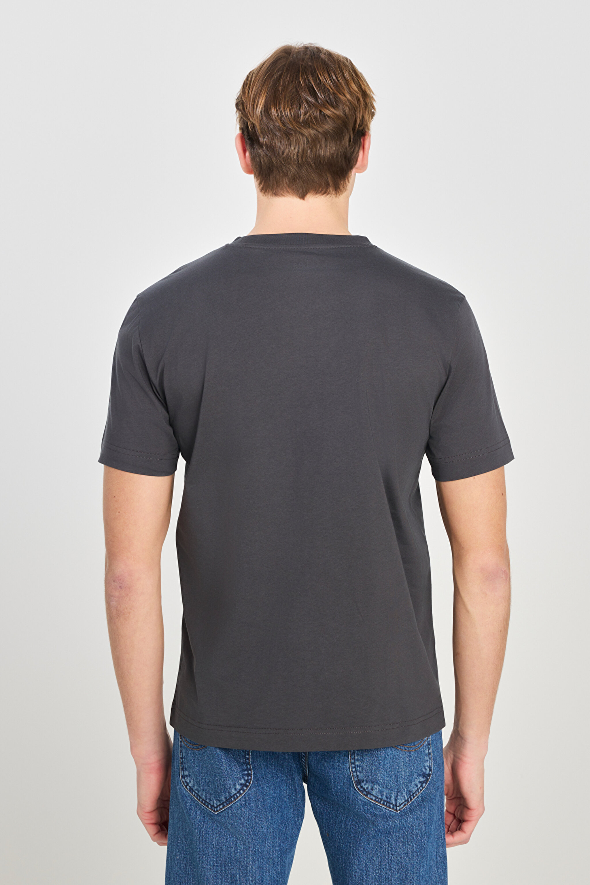 %100 Pamuk Regular Fit Normal Kesim Bisiklet Yaka Baskılı Antrasit Tişört - Anthracite-LD725771003 (görsel 5)