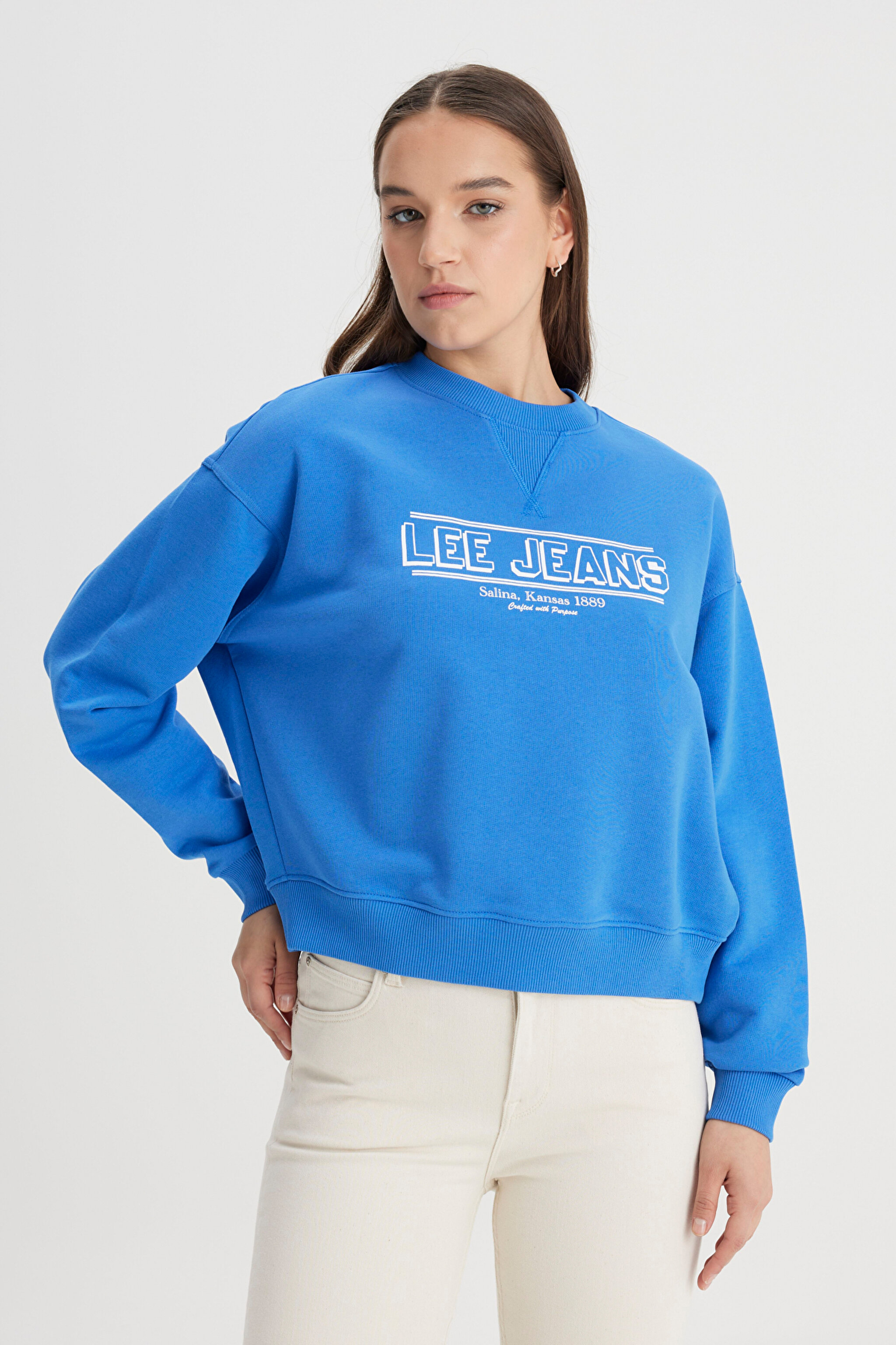 Relaxed Fit Geniş Kesim Bisiklet Yaka Mavi Sweatshirt