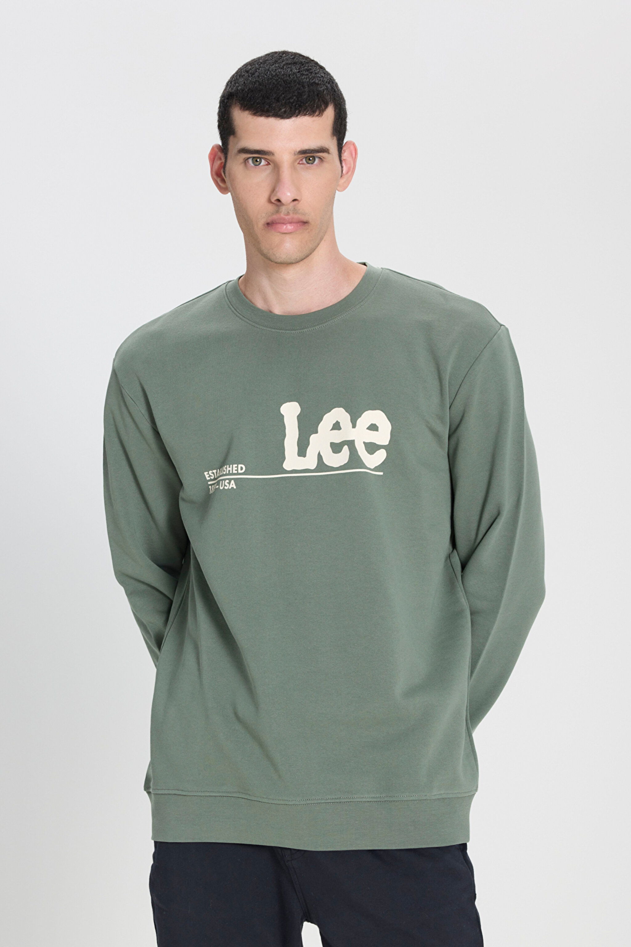Regular Fit Normal Kesim %100 Pamuk Bisiklet Yaka Mint Yeşili Sweatshirt - Fort Green-LV25EJ43 (görsel 2)