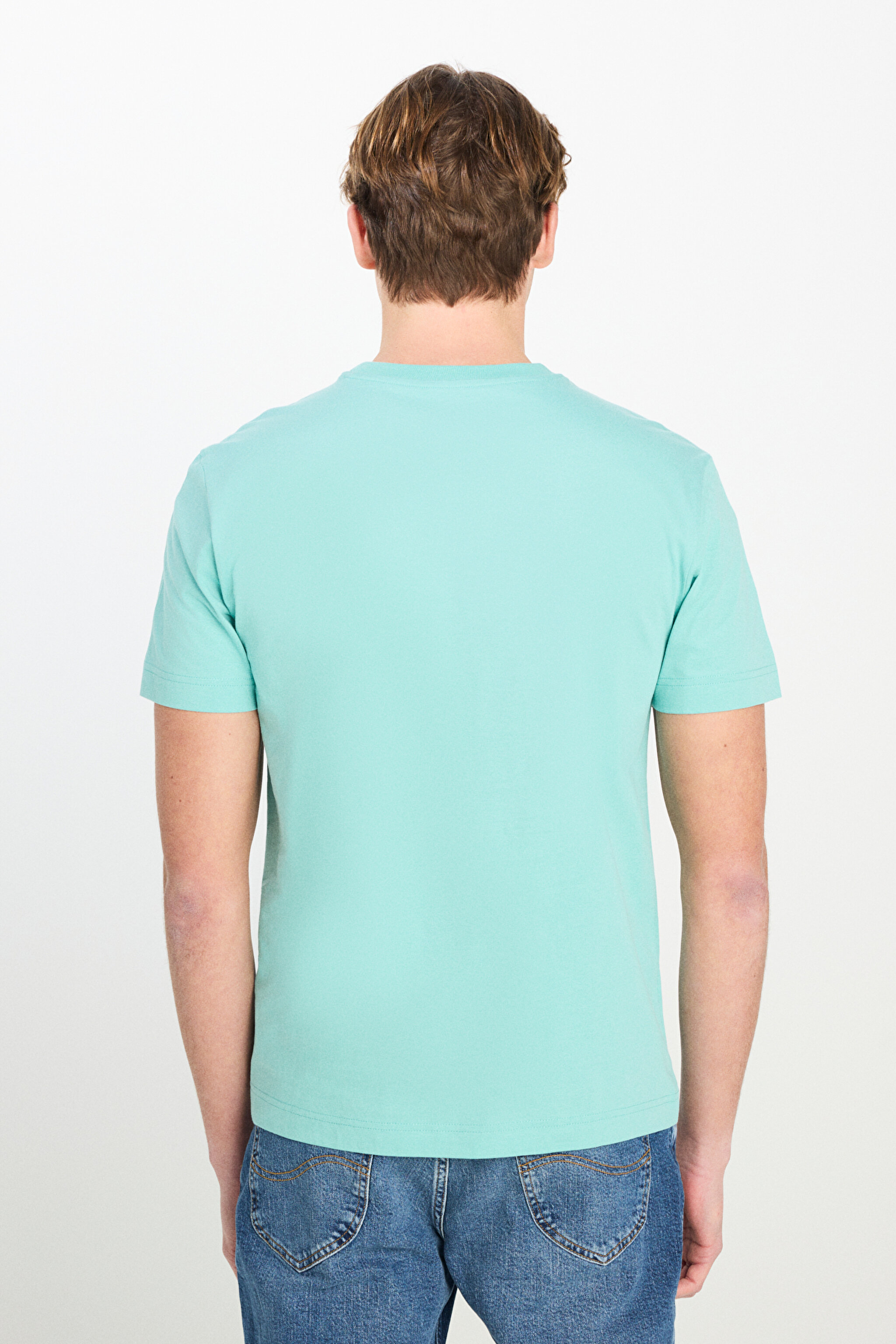 Regular Fit Normal Kesim Bisiklet Yaka Pamuklu Ada Çayı Tişört - SoftSage-ML60UFQ41 (görsel 5)
