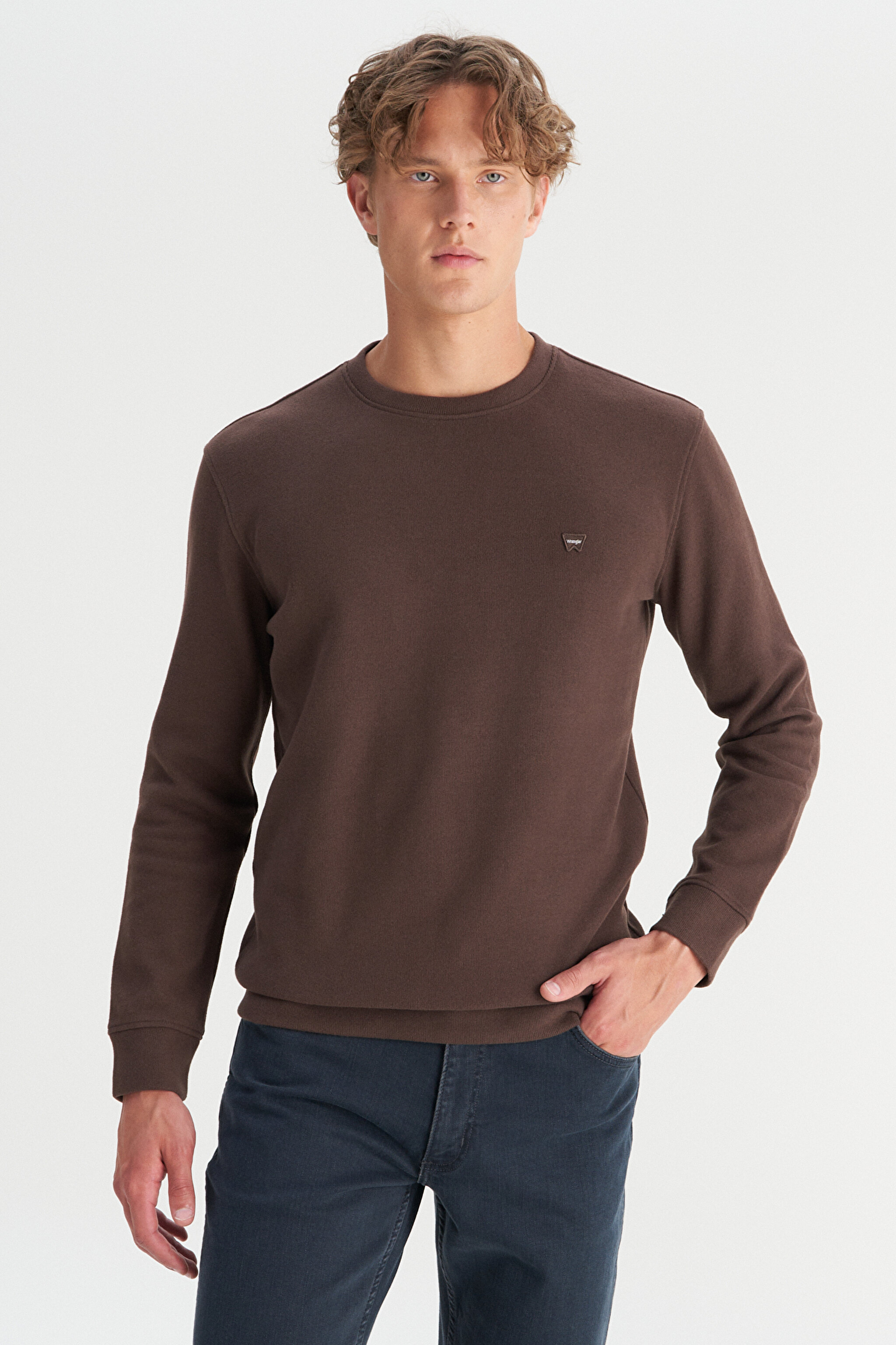Pamuklu Regular Fit Normal Kesim Bisiklet Yaka Selanik Örgü Sweatshirt