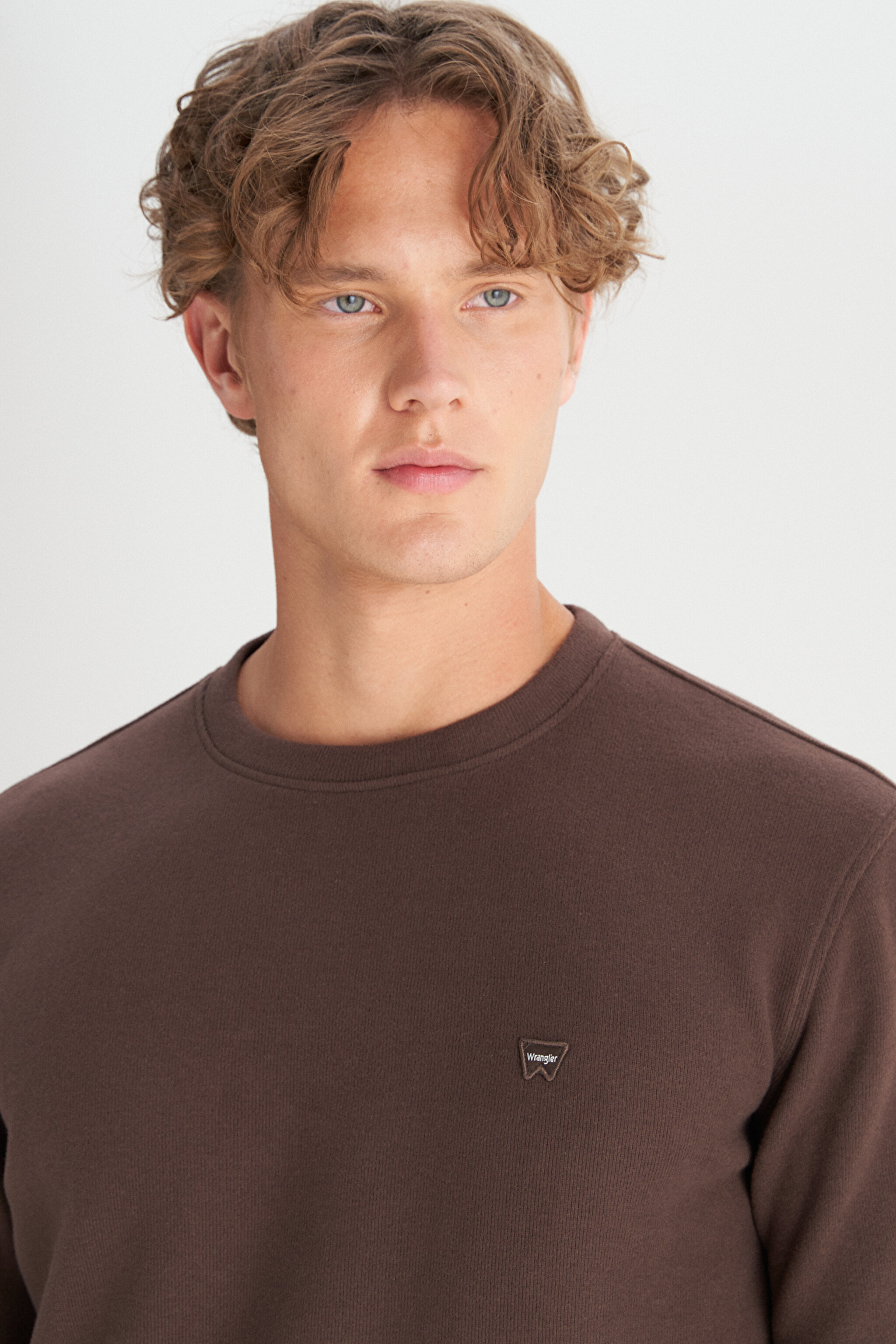 Pamuklu Regular Fit Normal Kesim Bisiklet Yaka Selanik Örgü Sweatshirt - Dark Brown-MW242262024 (görsel 4)