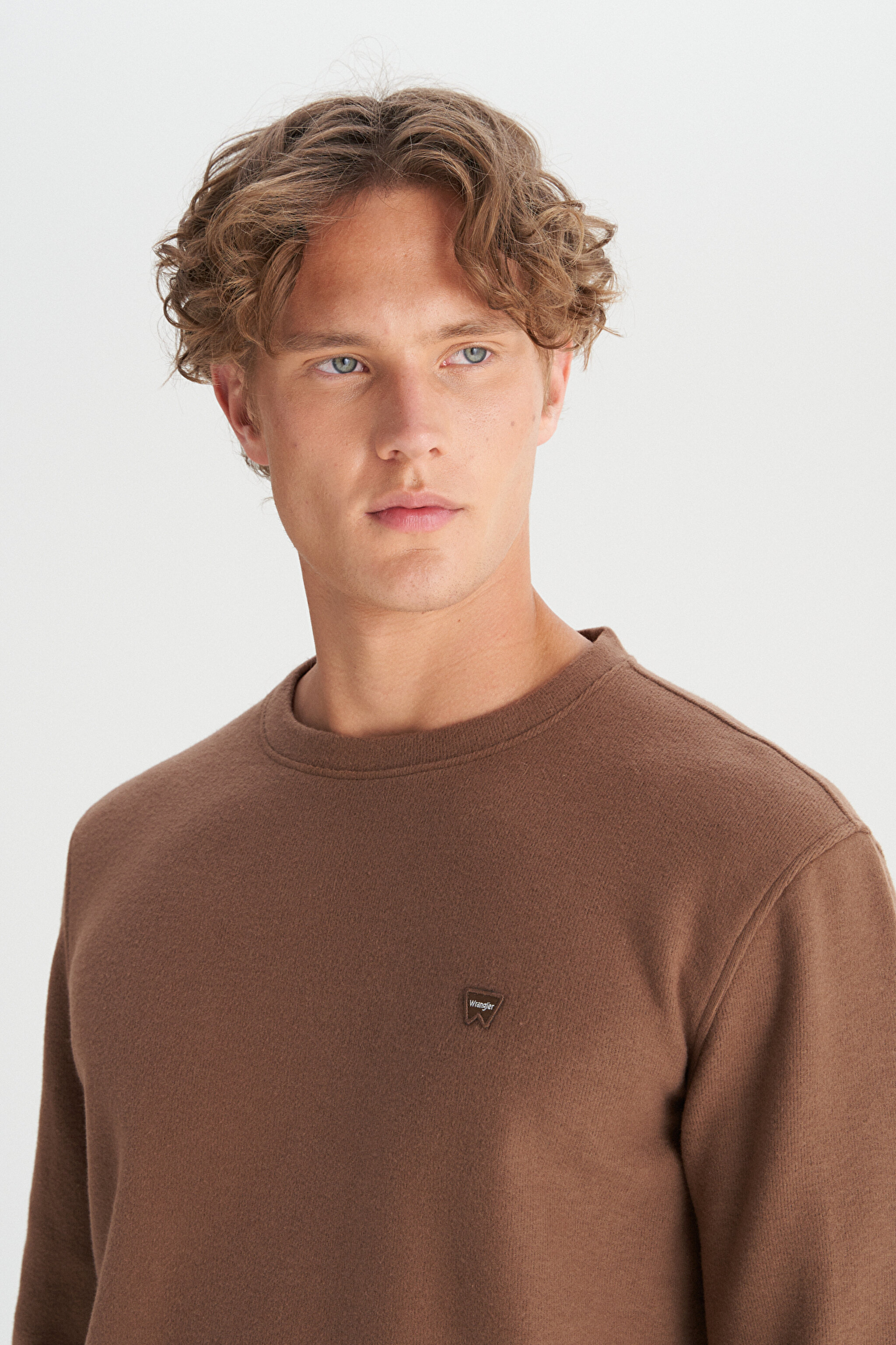 Pamuklu Regular Fit Normal Kesim Bisiklet Yaka Selanik Örgü Sweatshirt - Brown-MW242262220 (görsel 4)