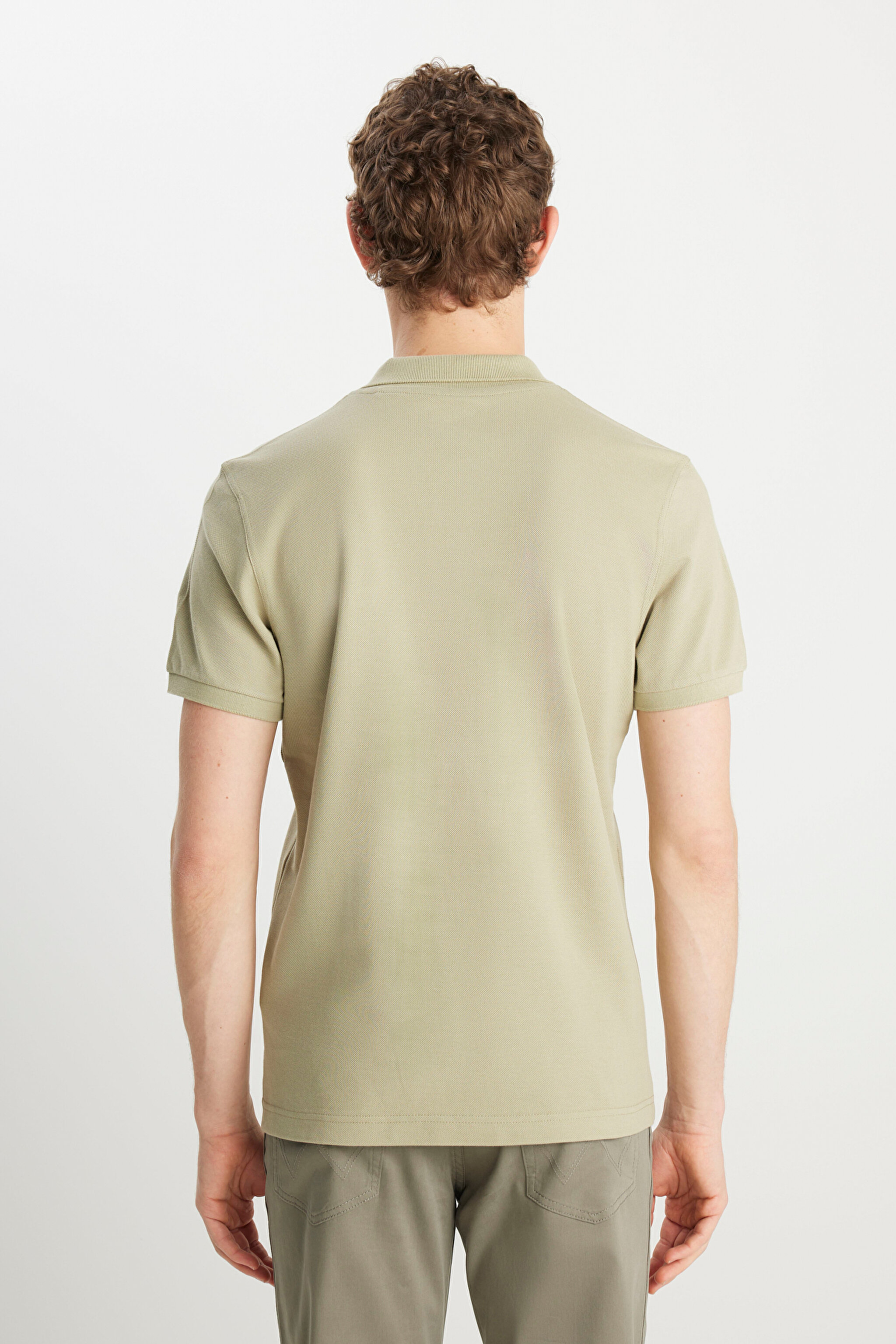 %100 Pamuk Regular Fit Normal Kesim Ada Çayı Polo Yaka Tişört - Tea Leaf-MW7D5K4XX2T37Y (görsel 5)