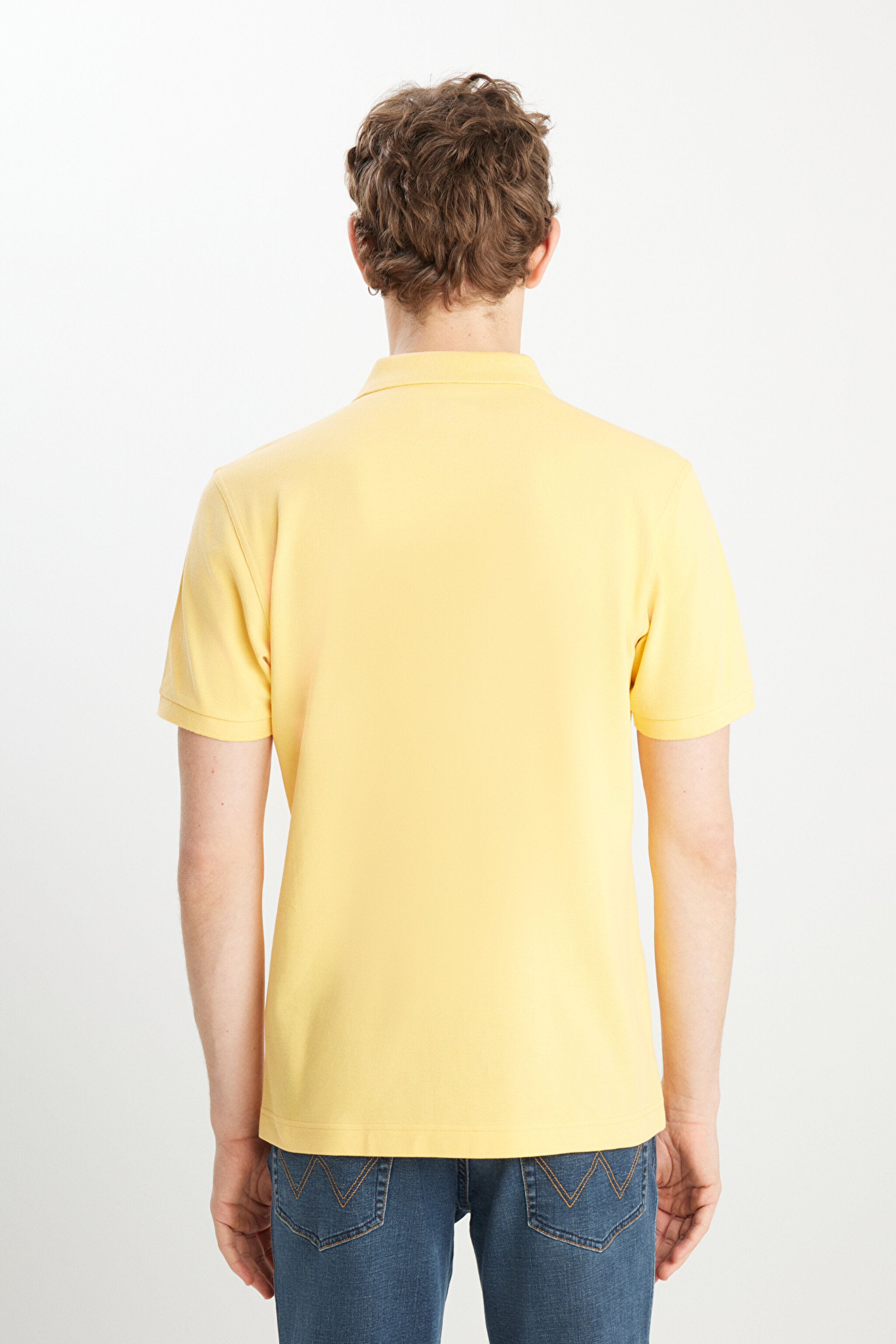 %100 Pamuk Regular Fit Normal Kesim Sarı Polo Yaka Tişört - Sunlight-MW7D5K4XX2TXCU (görsel 5)
