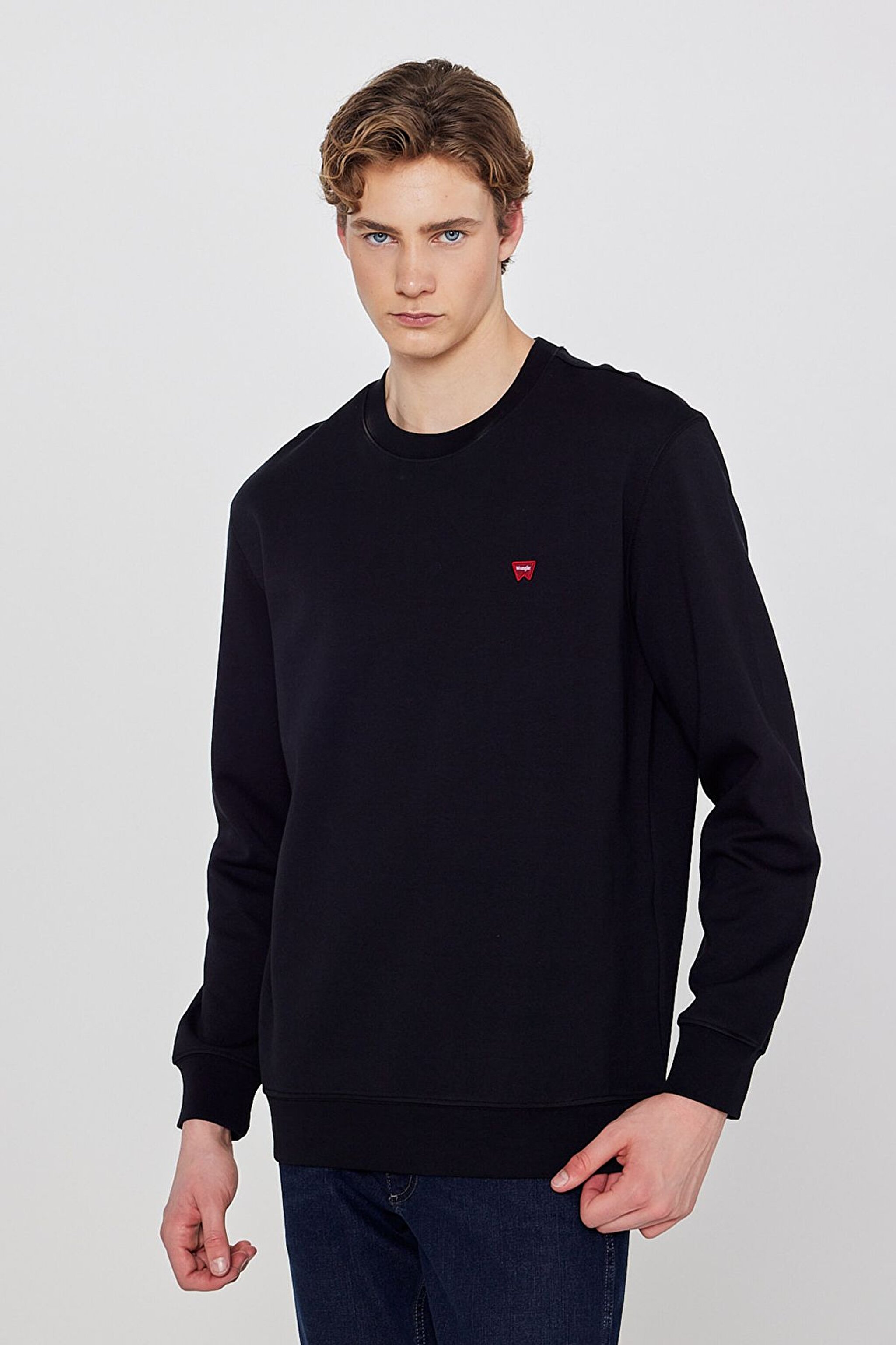 Pamuklu Regular Fit Normal Kesim Bisiklet Yaka Logo Detaylı Sweatshirt - Black-TW2520255001 (görsel 2)