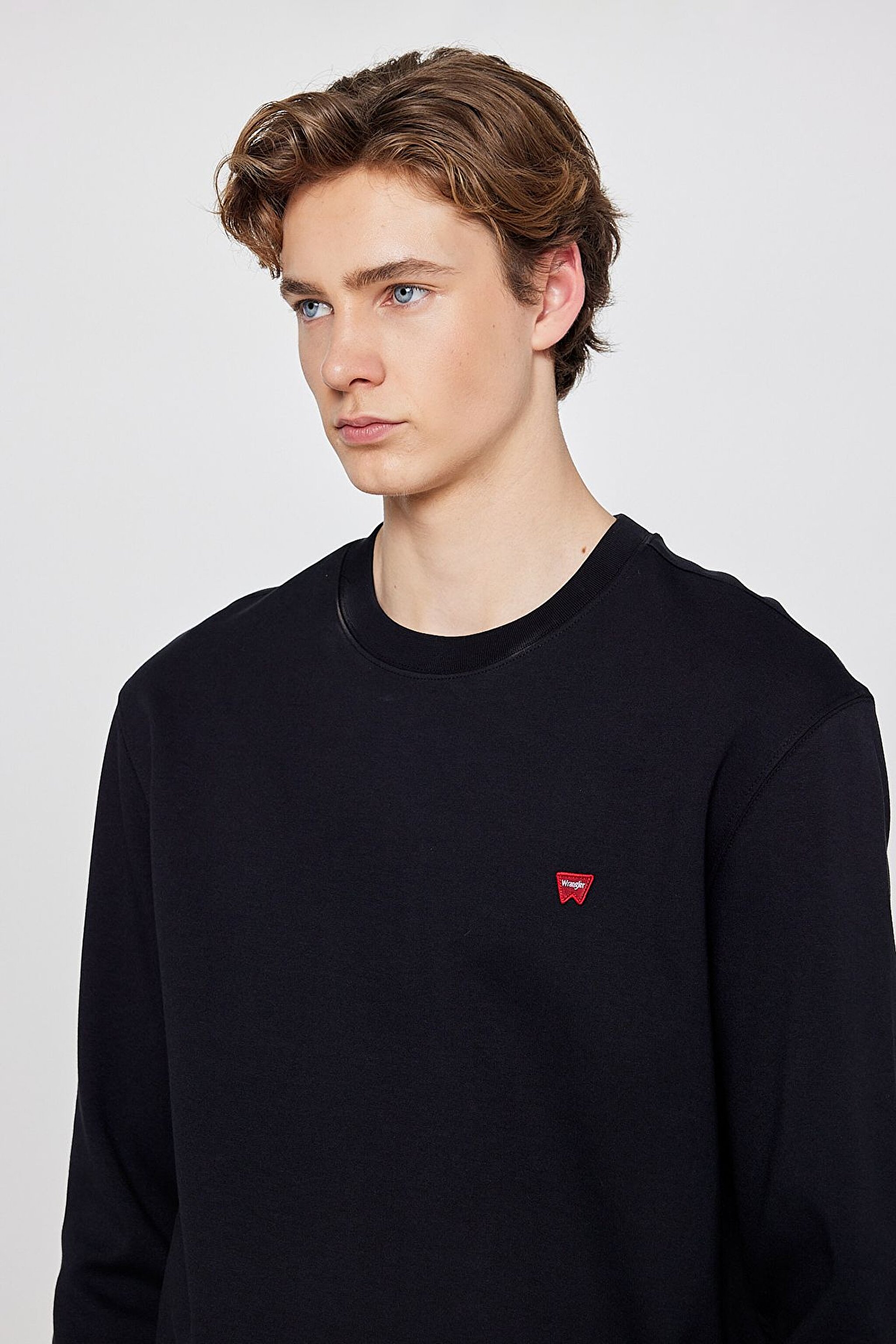 Pamuklu Regular Fit Normal Kesim Bisiklet Yaka Logo Detaylı Sweatshirt - Black-TW2520255001 (görsel 4)
