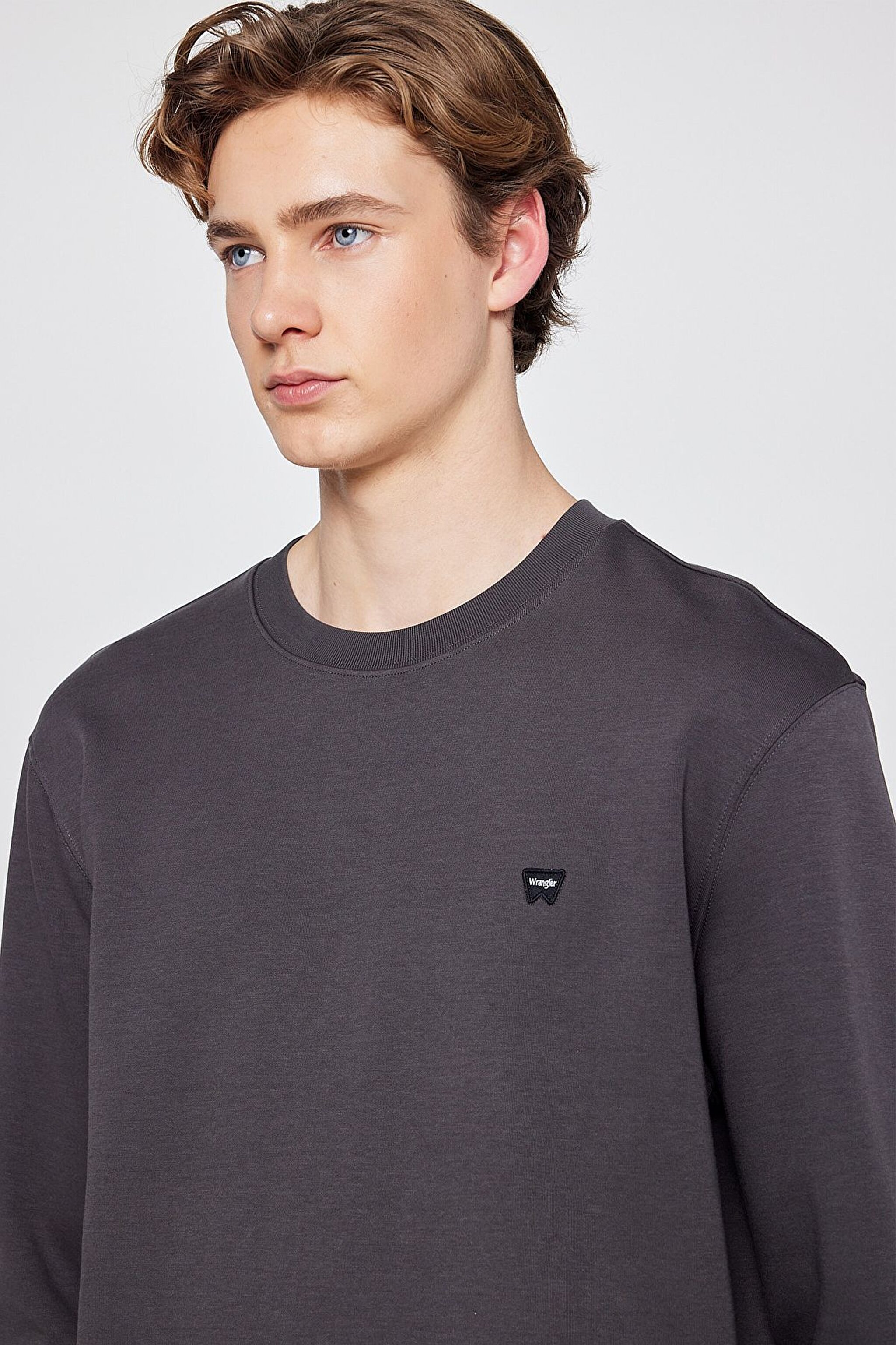 Pamuklu Regular Fit Normal Kesim Bisiklet Yaka Logo Detaylı Sweatshirt - FadedBlack-TW252025533W (görsel 4)