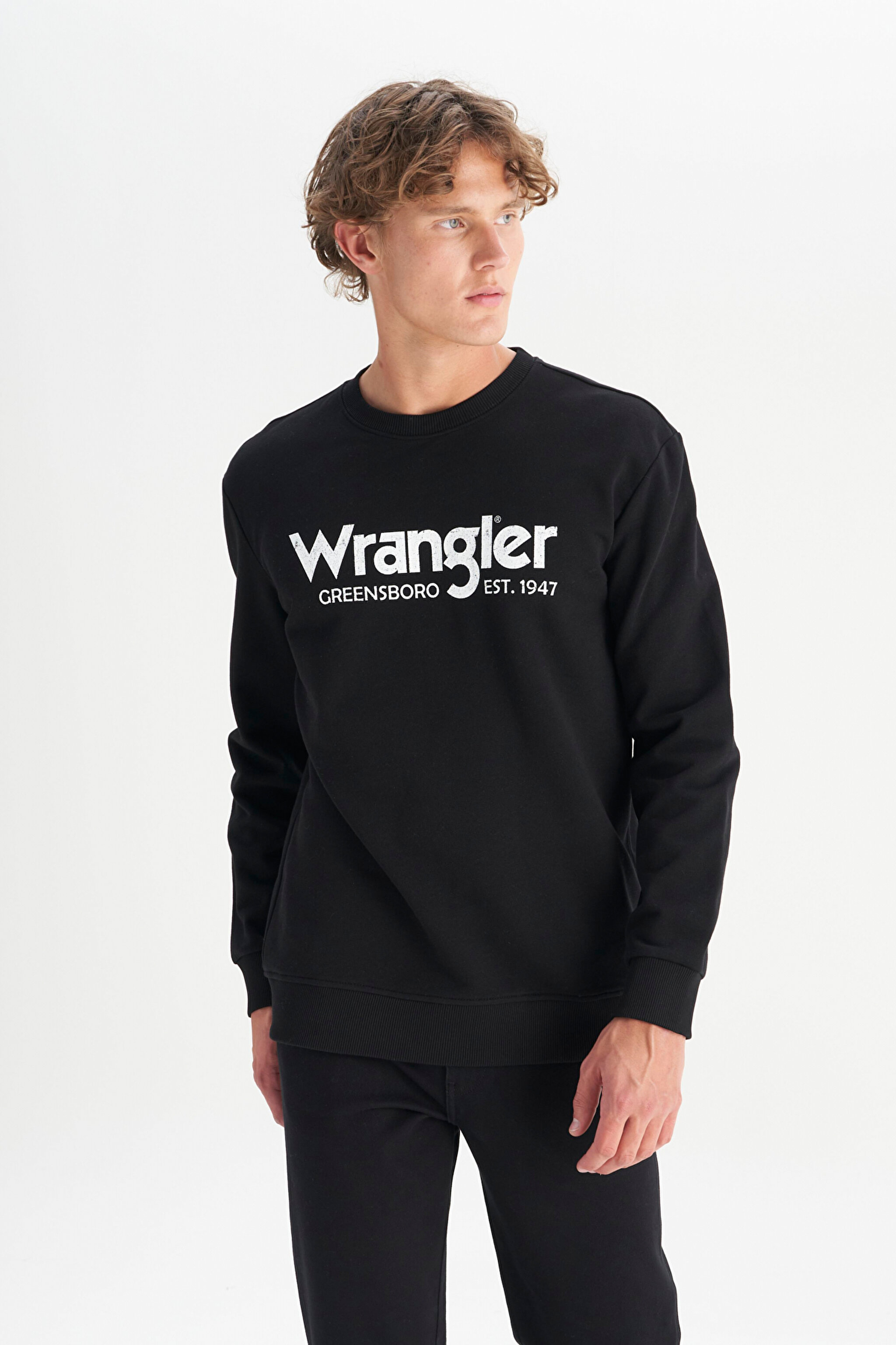 Regular Fit Normal Kesim %100 Pamuk Sıfır Yaka Sweatshirt - Black-W212025001 (görsel 3)