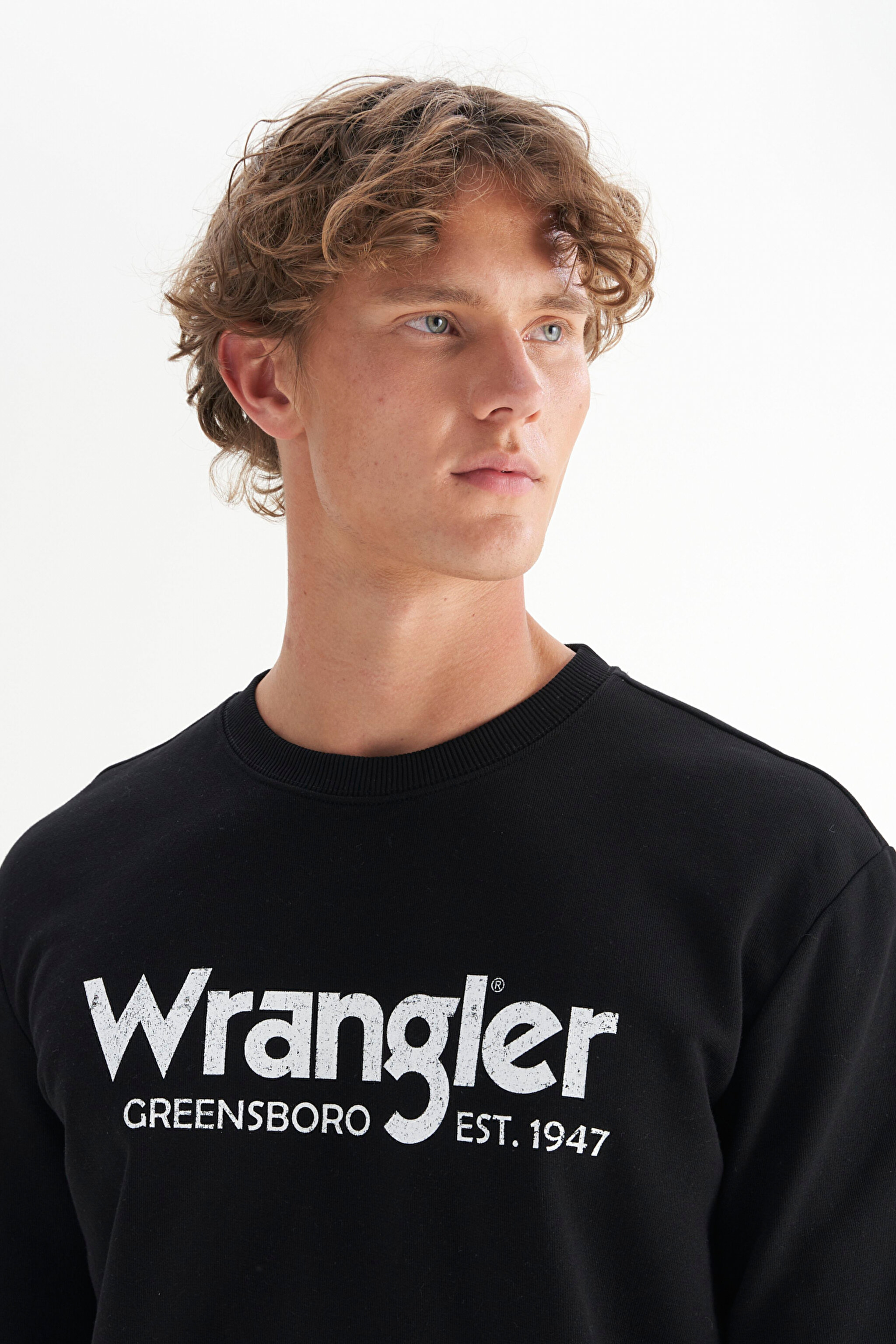 Regular Fit Normal Kesim %100 Pamuk Sıfır Yaka Sweatshirt - Black-W212025001 (görsel 4)