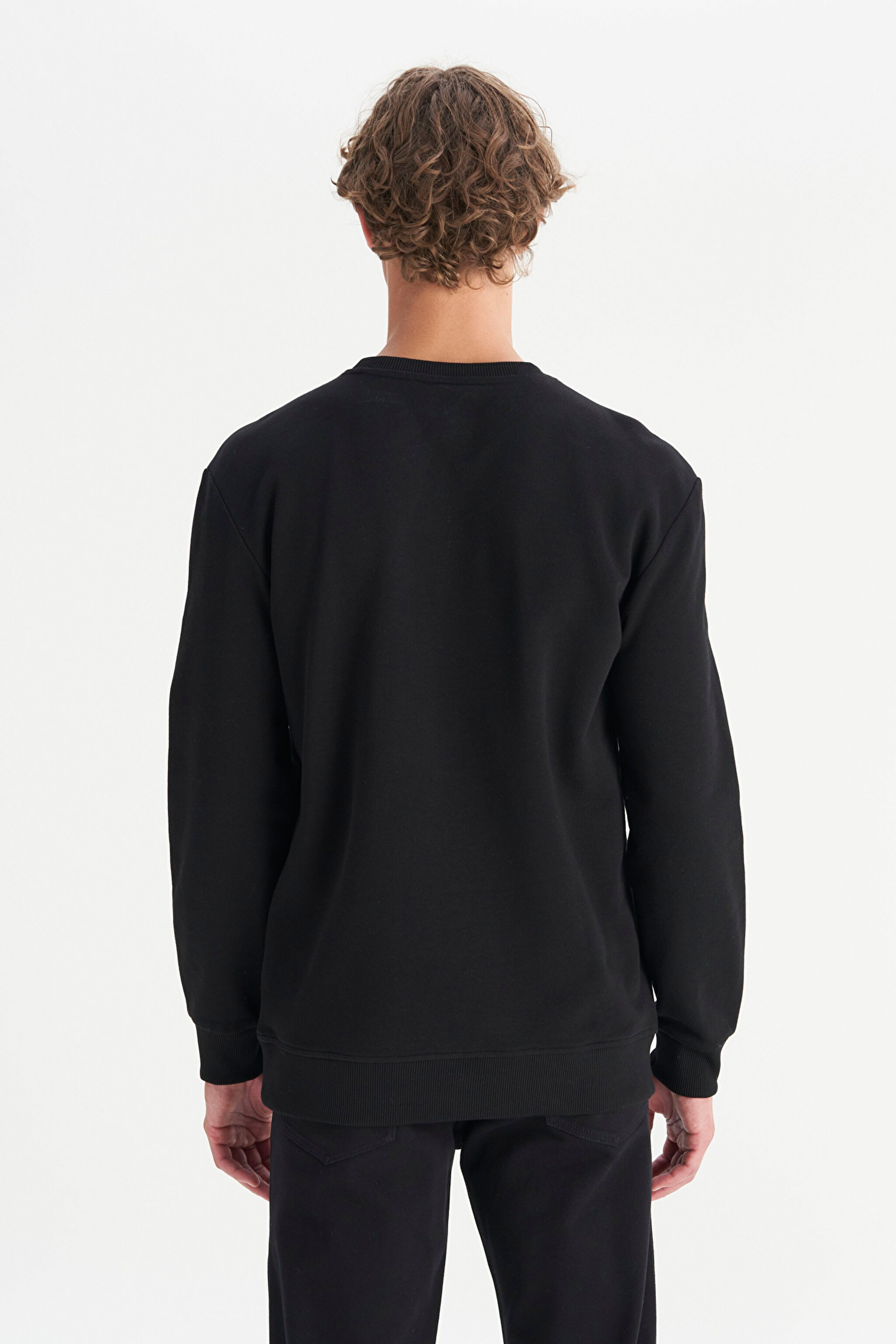 Regular Fit Normal Kesim %100 Pamuk Sıfır Yaka Sweatshirt - Black-W212025001 (görsel 5)
