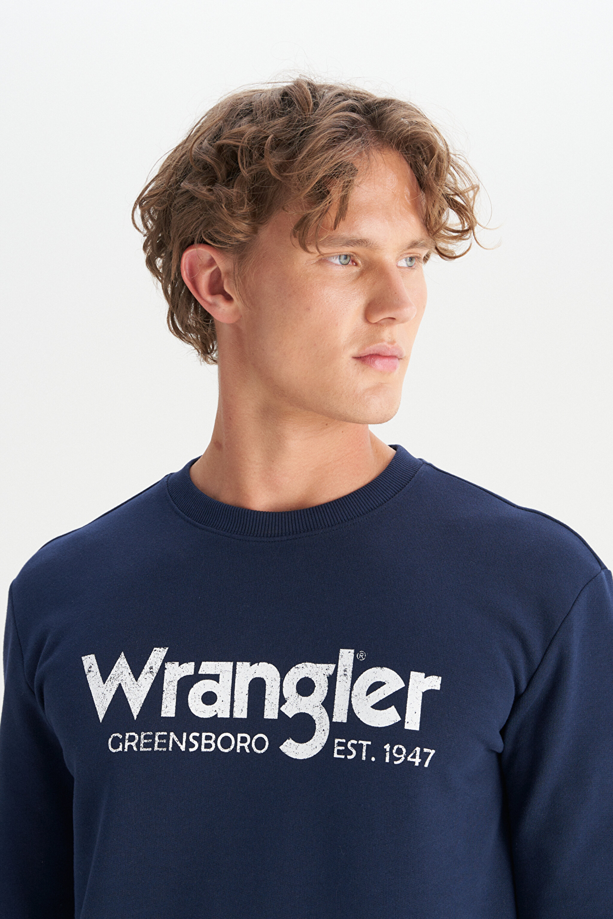 Regular Fit Normal Kesim %100 Pamuk Sıfır Yaka Sweatshirt - Navy-W212025410 (görsel 4)