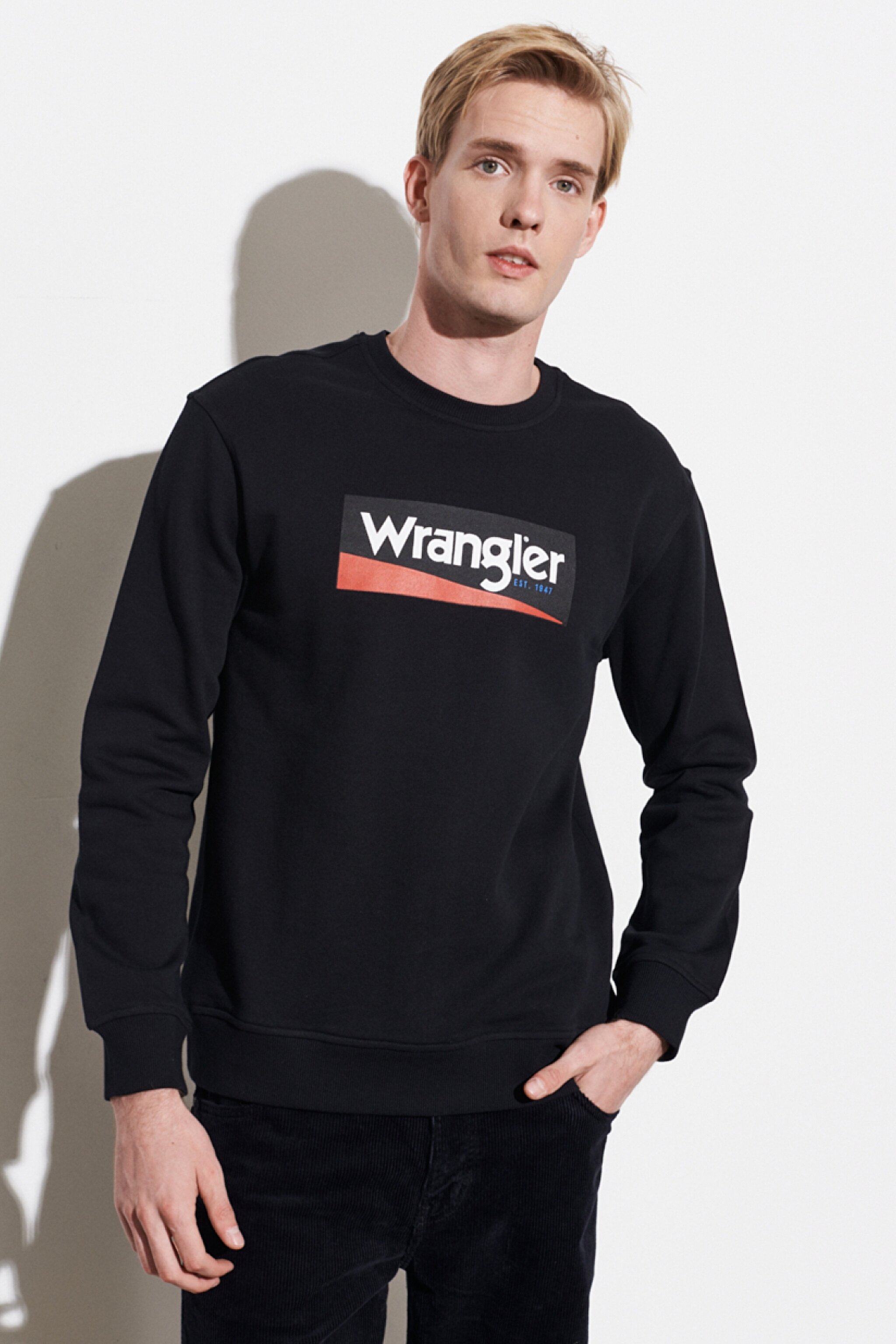 Regular Fit Normal Kesim %100 Pamuk Sıfır Yaka Sweatshirt - Black-W212236001