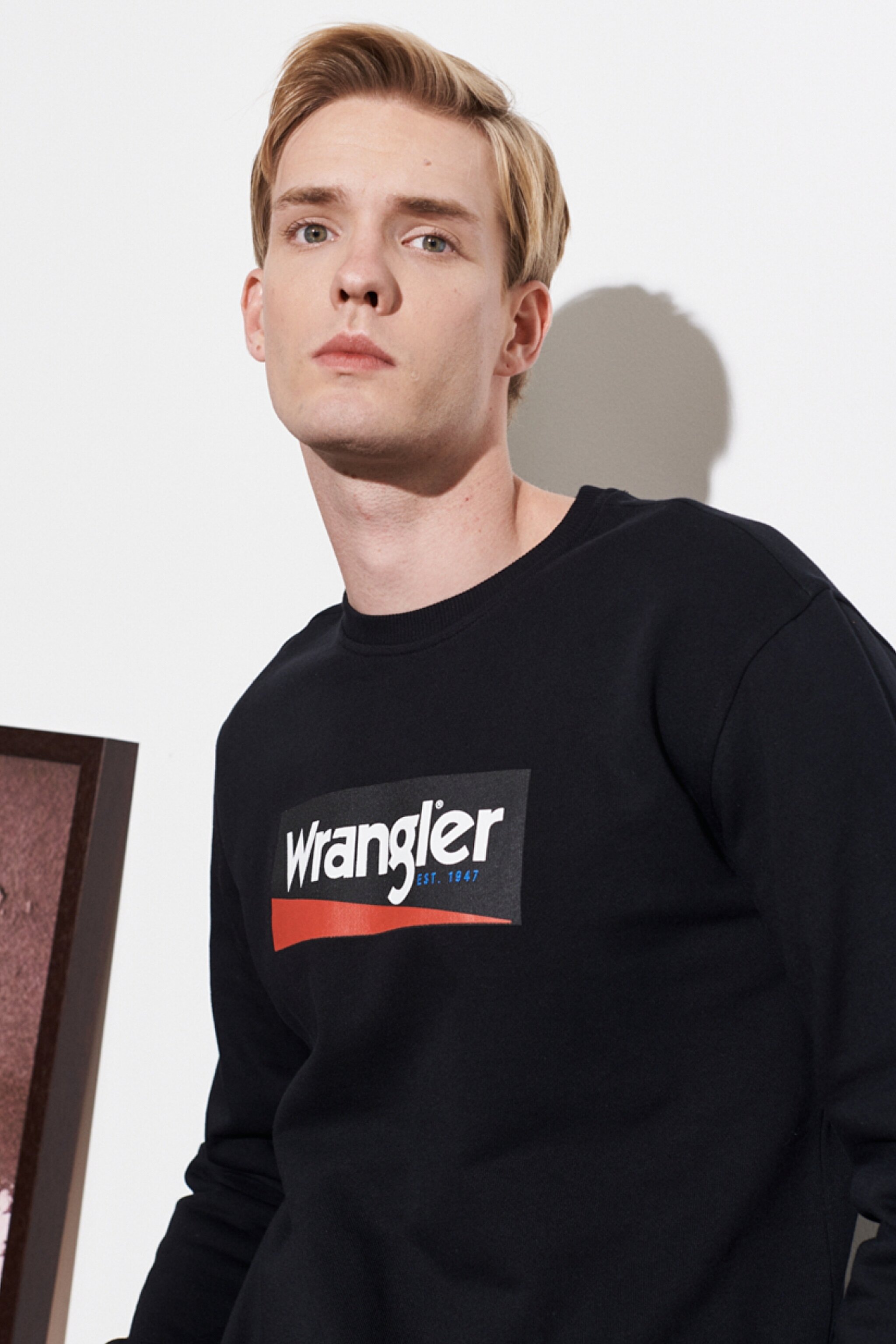 Regular Fit Normal Kesim %100 Pamuk Sıfır Yaka Sweatshirt - Black-W212236001 (görsel 3)