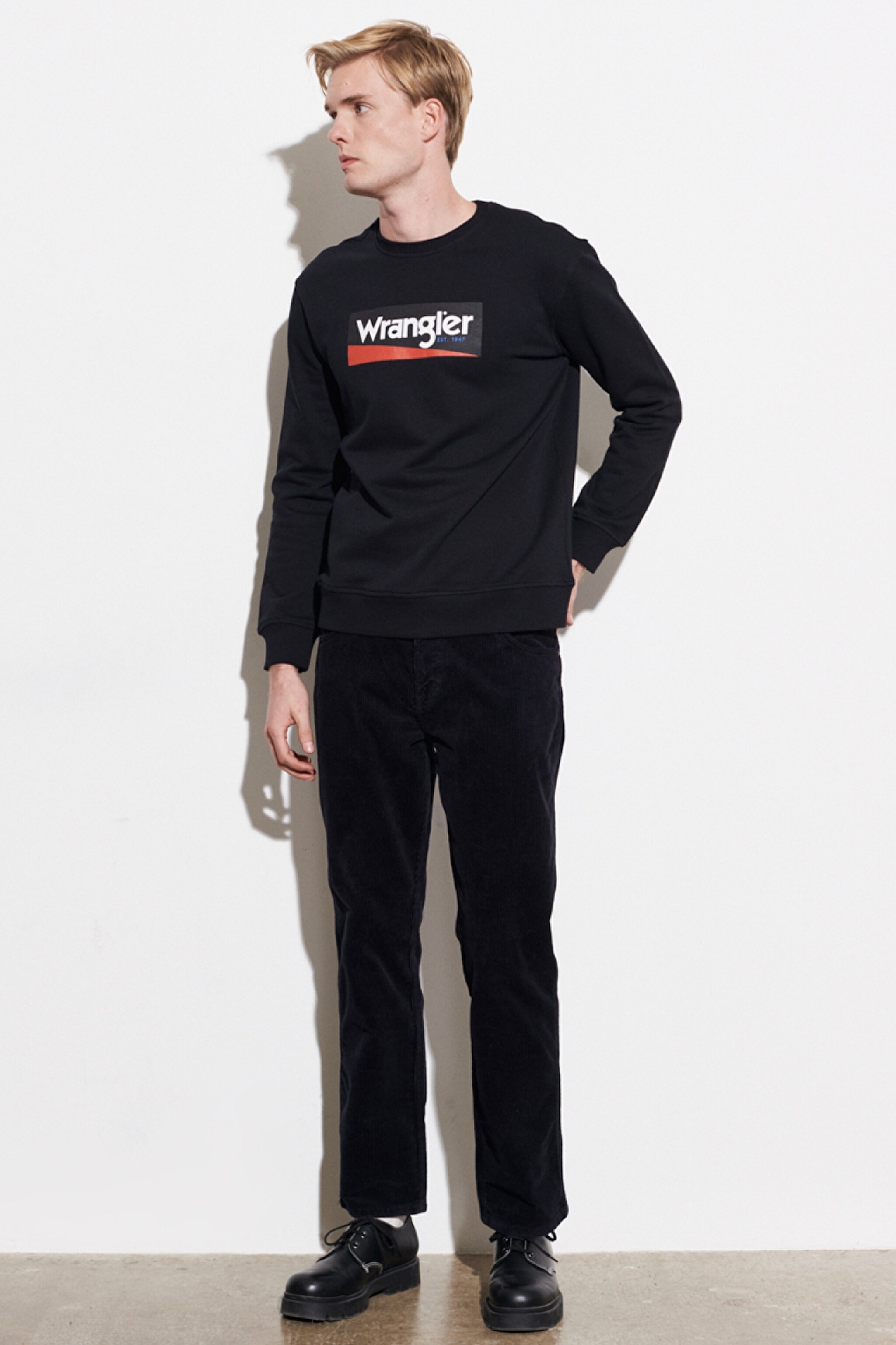 Regular Fit Normal Kesim %100 Pamuk Sıfır Yaka Sweatshirt - Black-W212236001 (görsel 5)