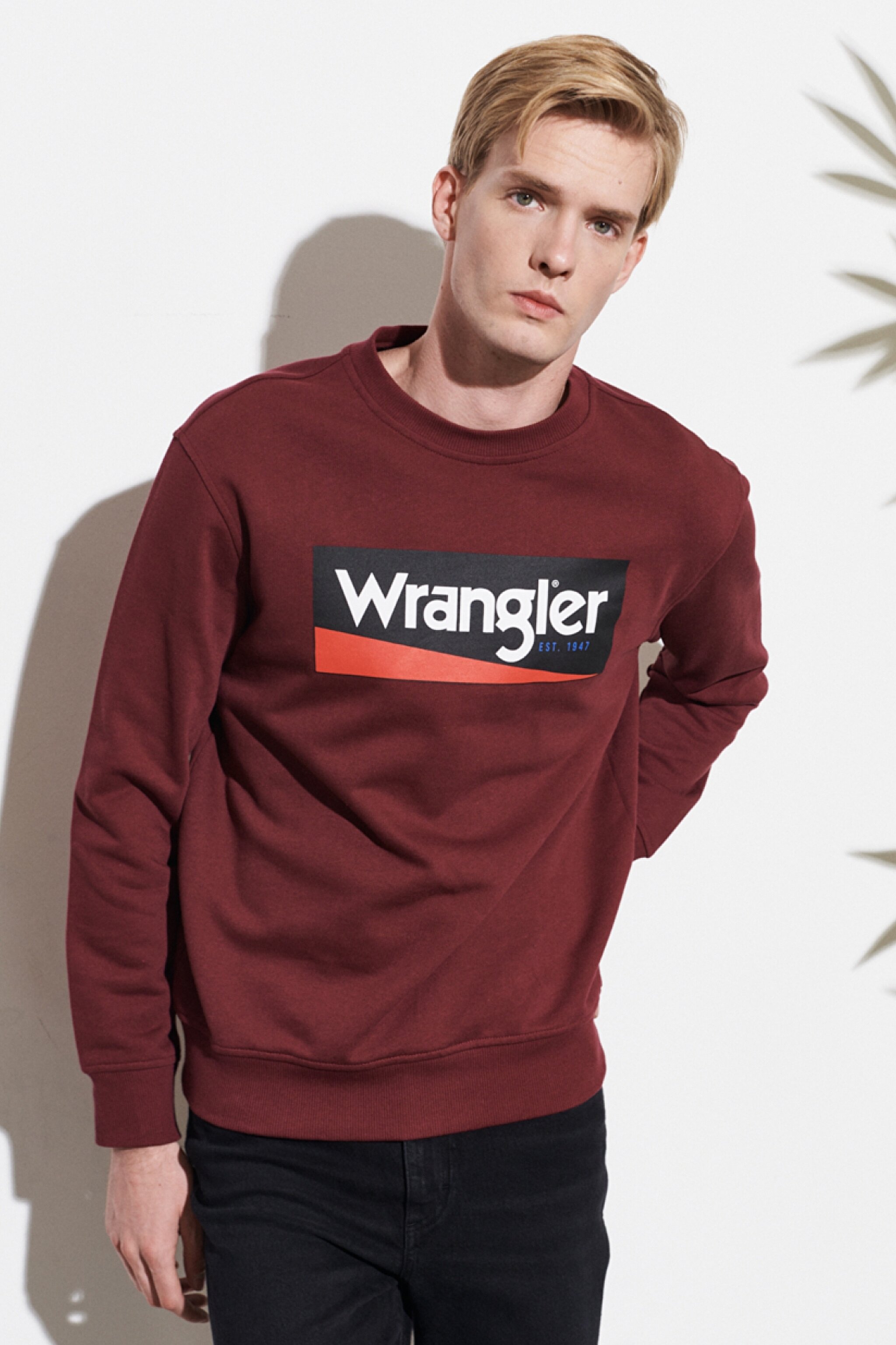 Regular Fit Normal Kesim %100 Pamuk Sıfır Yaka Sweatshirt