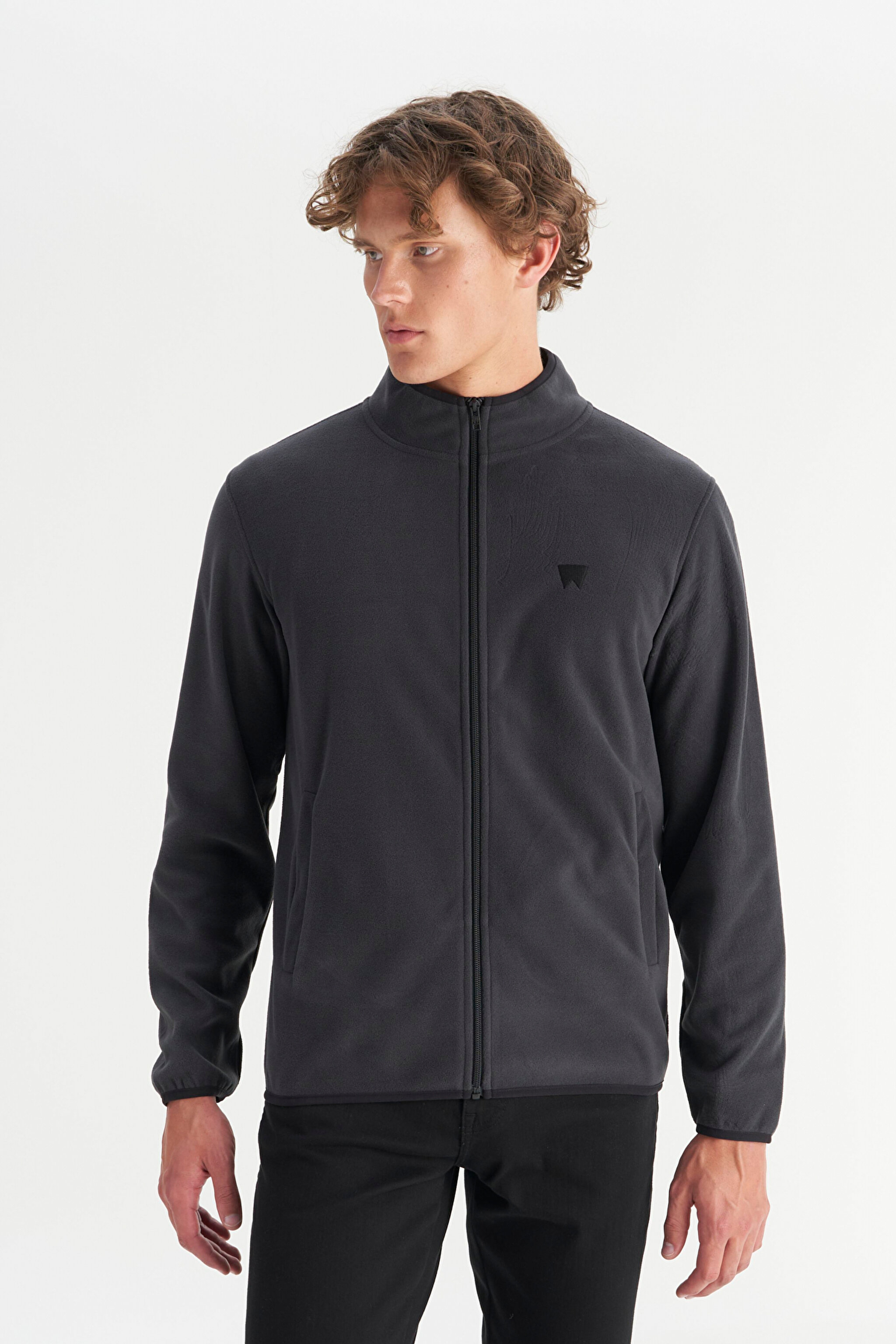 Regular Fit Normal Kesim Polar - Anthracite-W212239003 (görsel 3)