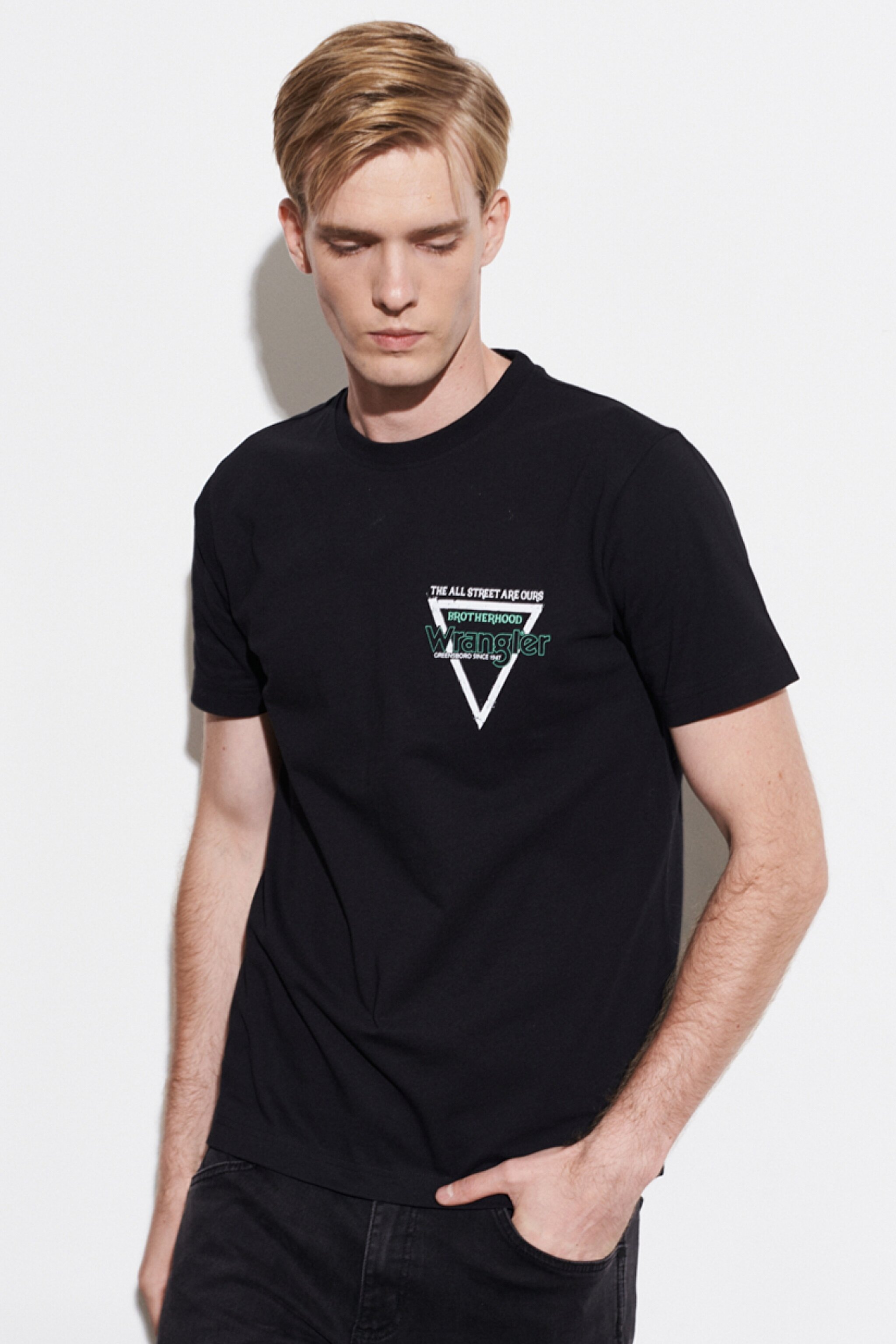 Regular Fit Normal Kesim %100 Pamuk Bisiklet Yaka Siyah Tişört - Black-W221482001 (görsel 2)