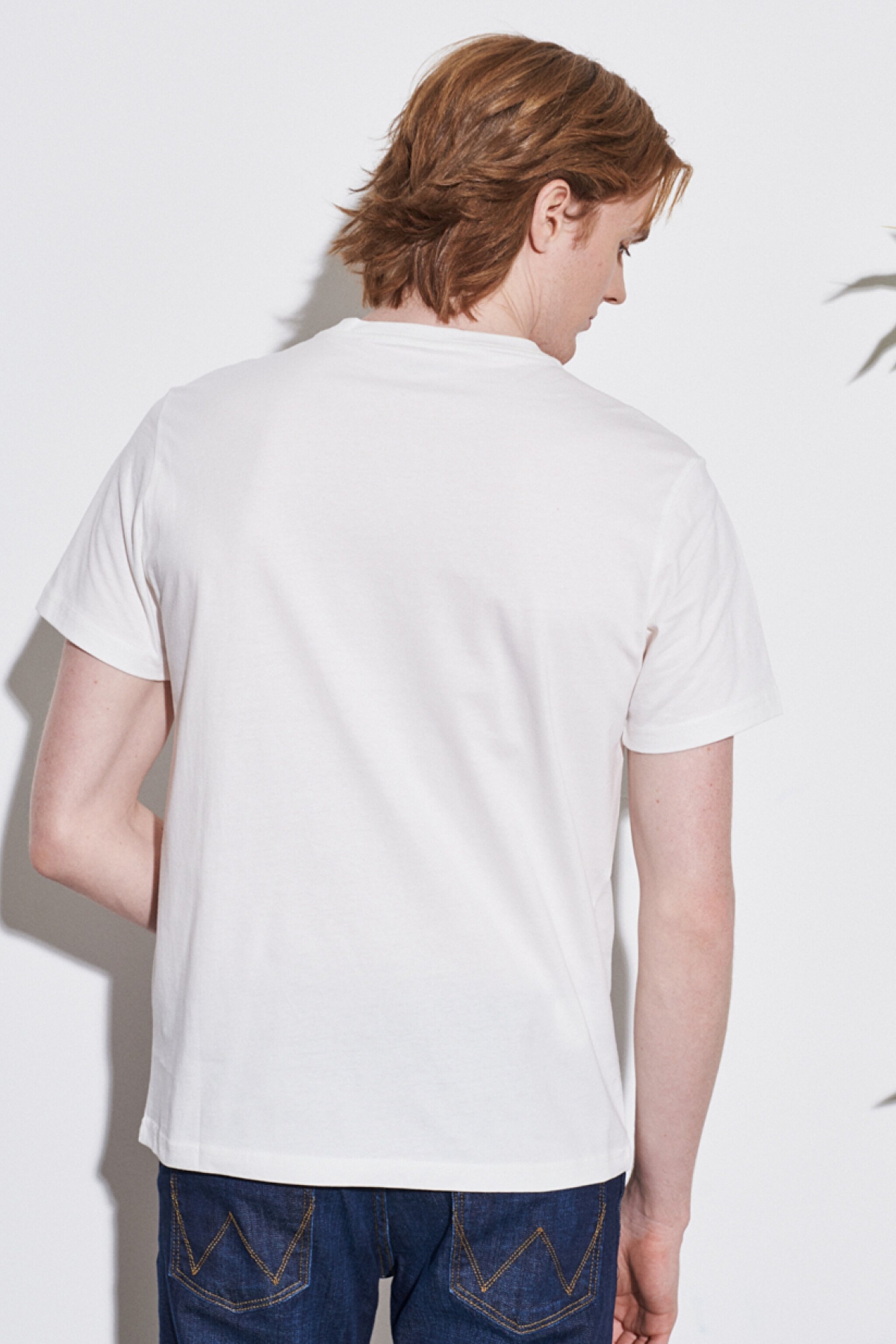 Regular Fit Normal Kesim %100 Pamuk Bisiklet Yaka Kırık Beyaz Tişört - Off White-W222004102 (görsel 5)