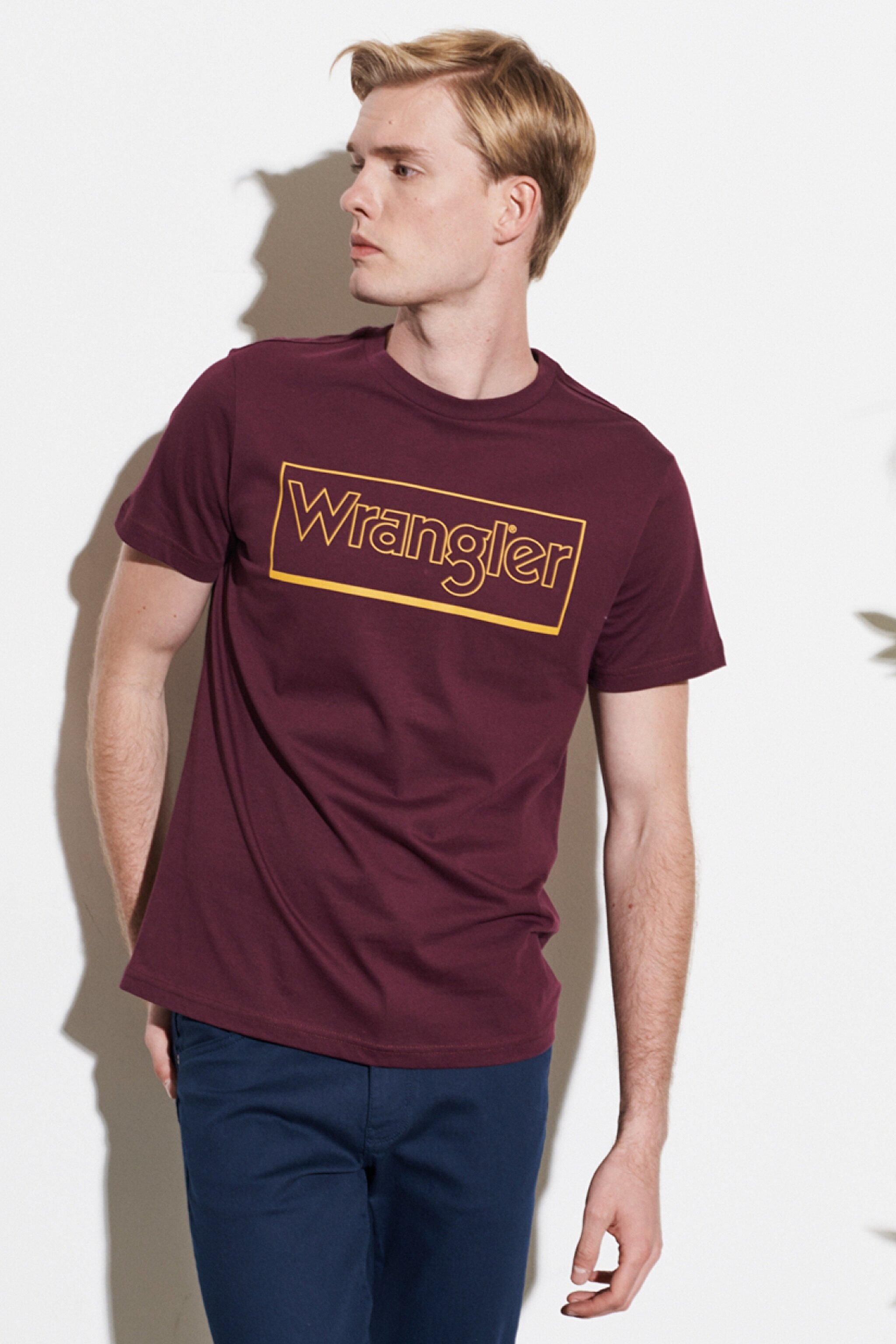 Regular Fit Normal Kesim %100 Pamuk Bisiklet Yaka Bordo Tişört