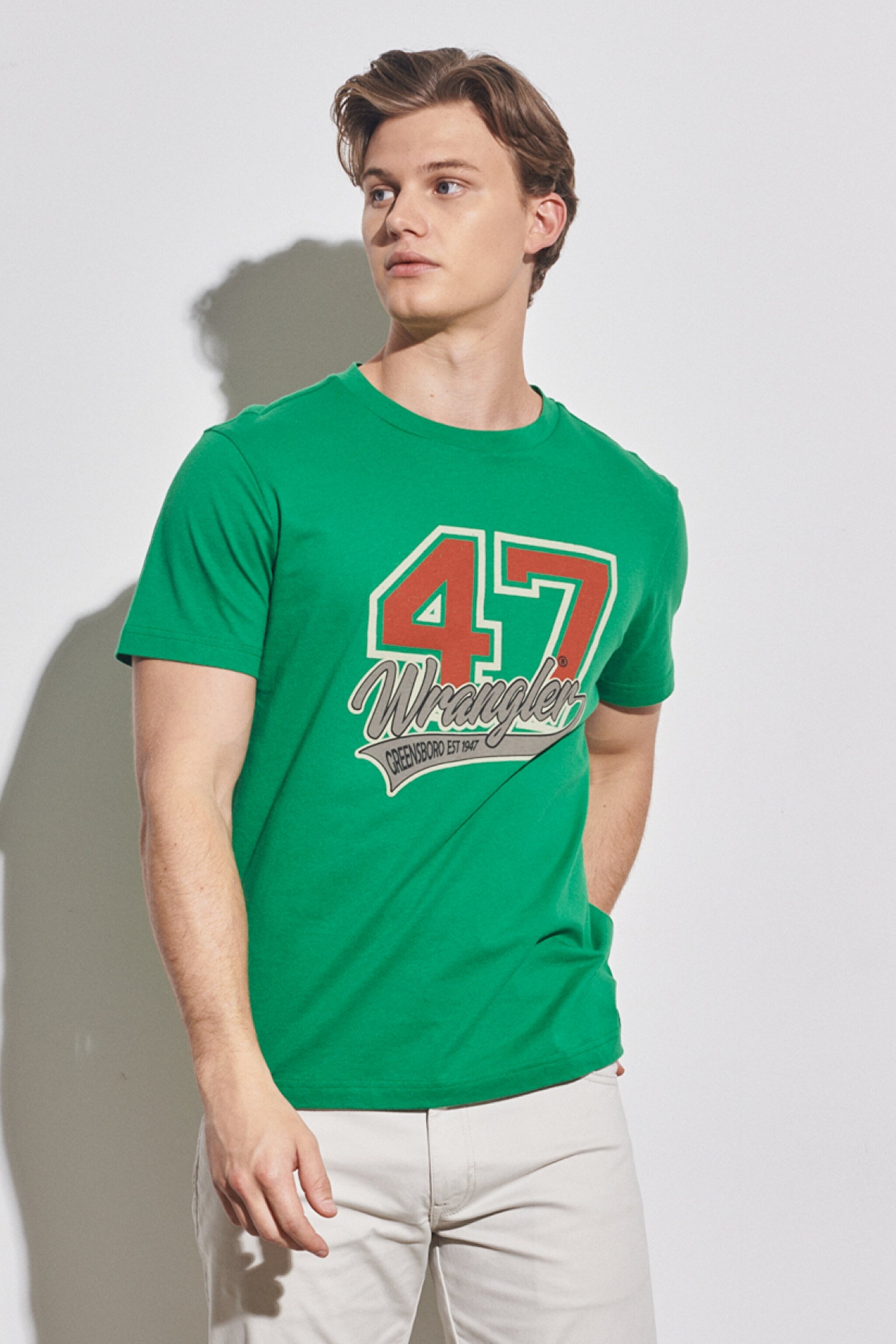 Regular Fit Normal Kesim %100 Pamuk Bisiklet Yaka Yeşil Tişört - Green-W231228300 (görsel 2)