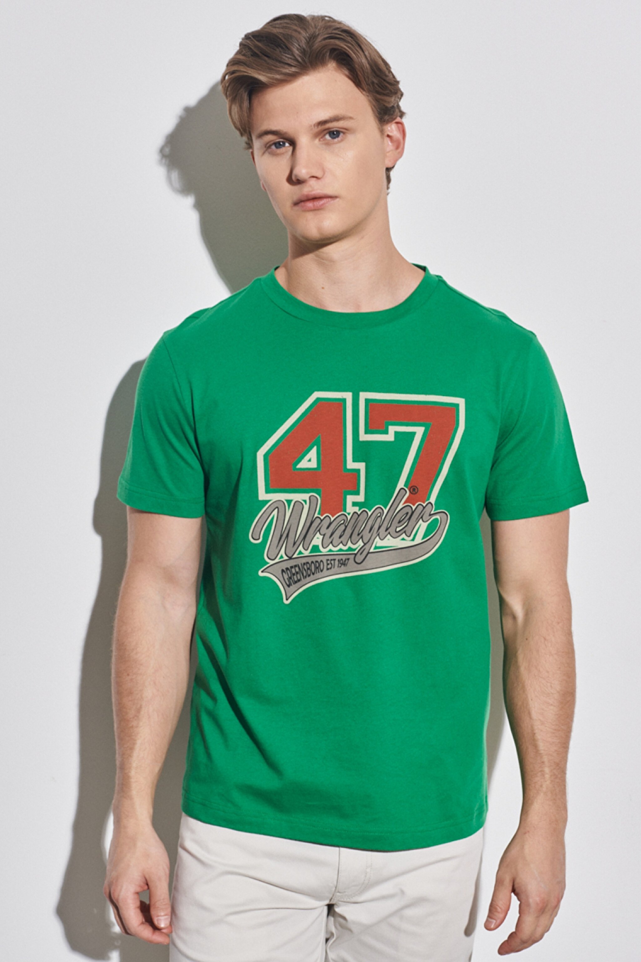 Regular Fit Normal Kesim %100 Pamuk Bisiklet Yaka Yeşil Tişört - Green-W231228300 (görsel 4)