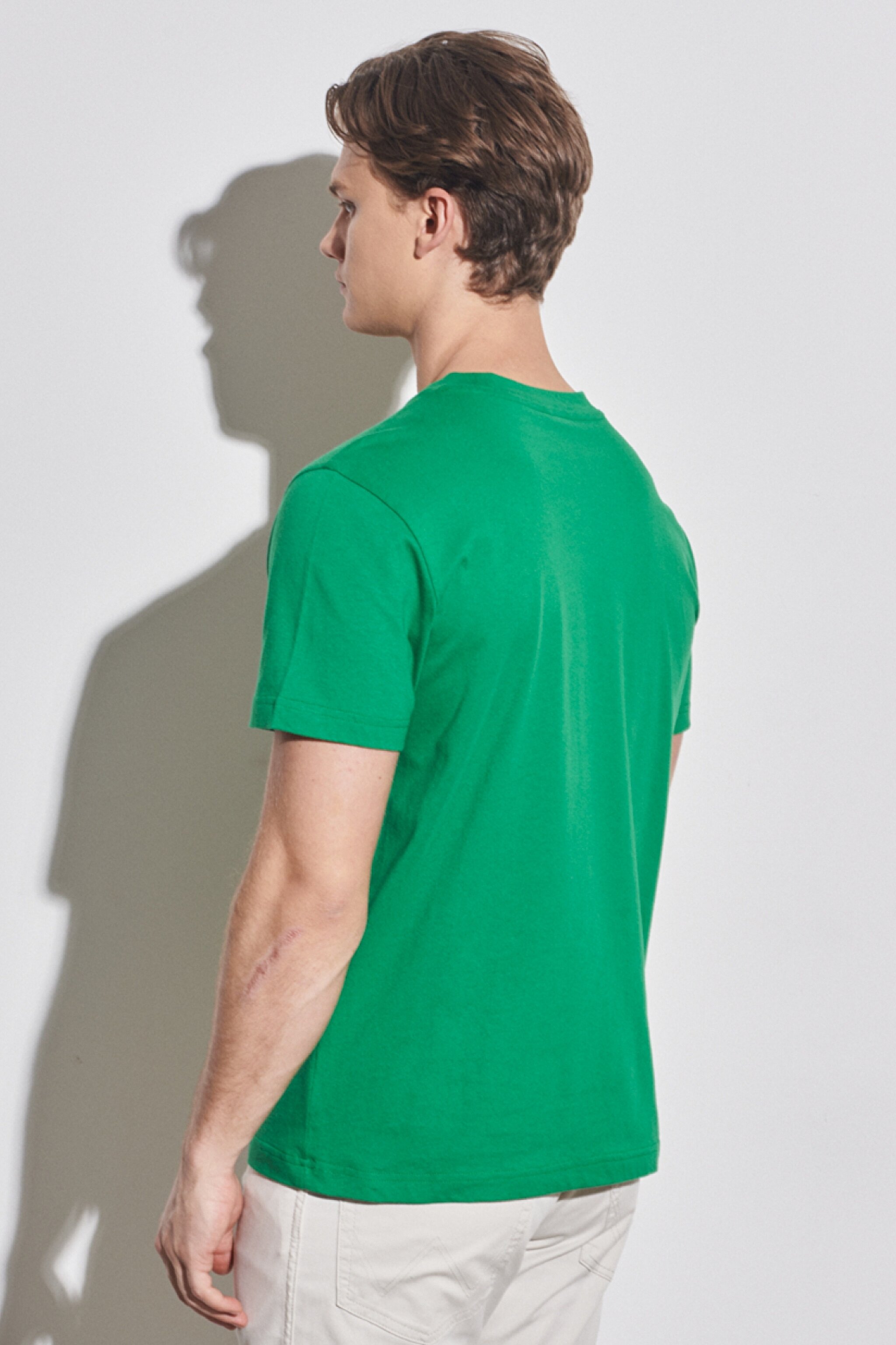 Regular Fit Normal Kesim %100 Pamuk Bisiklet Yaka Yeşil Tişört - Green-W231228300 (görsel 6)