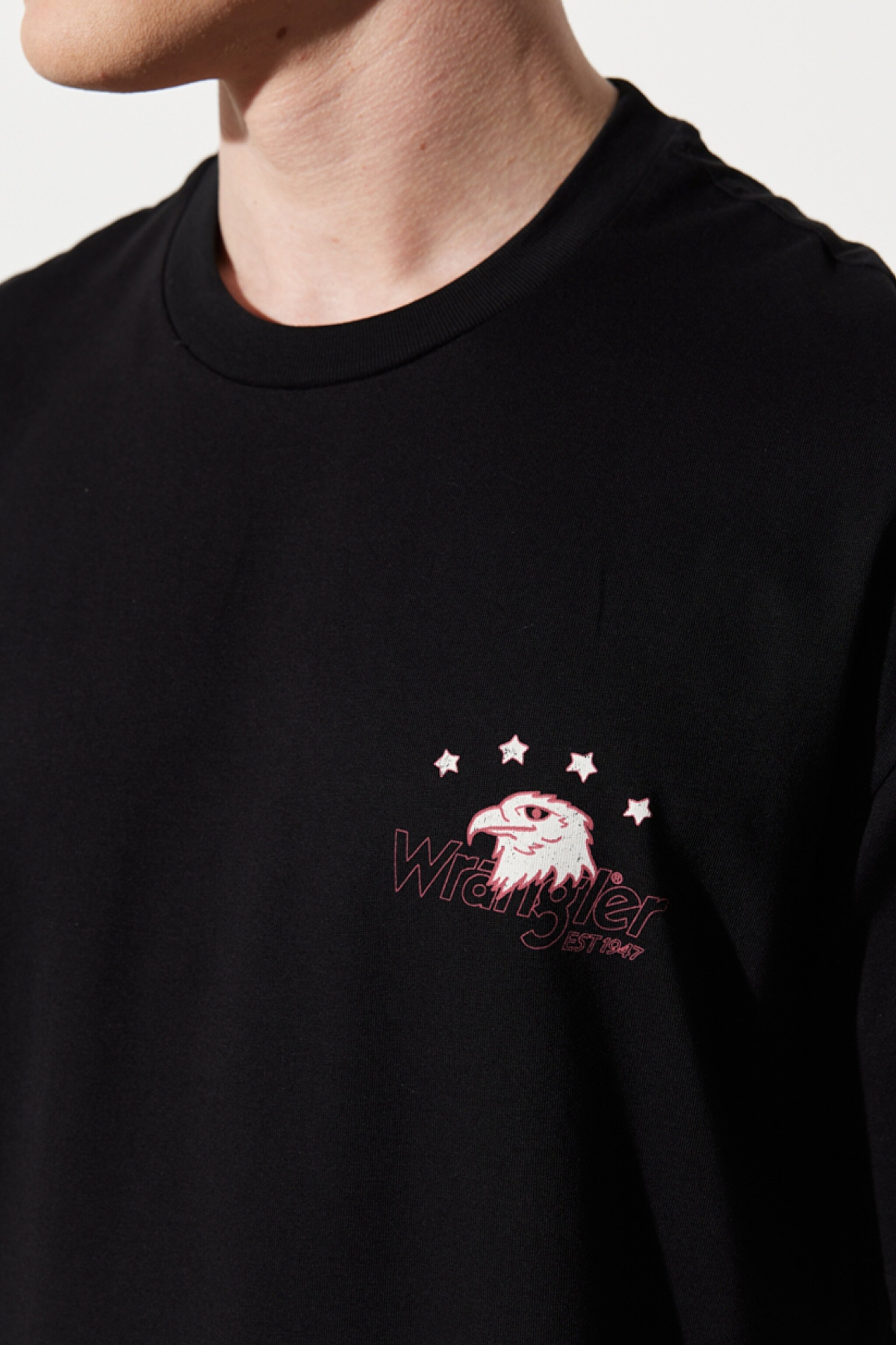 Loose Fit Rahat Kesim %100 Pamuk Bisiklet Yaka Siyah Tişört - Black-W231233001 (görsel 6)