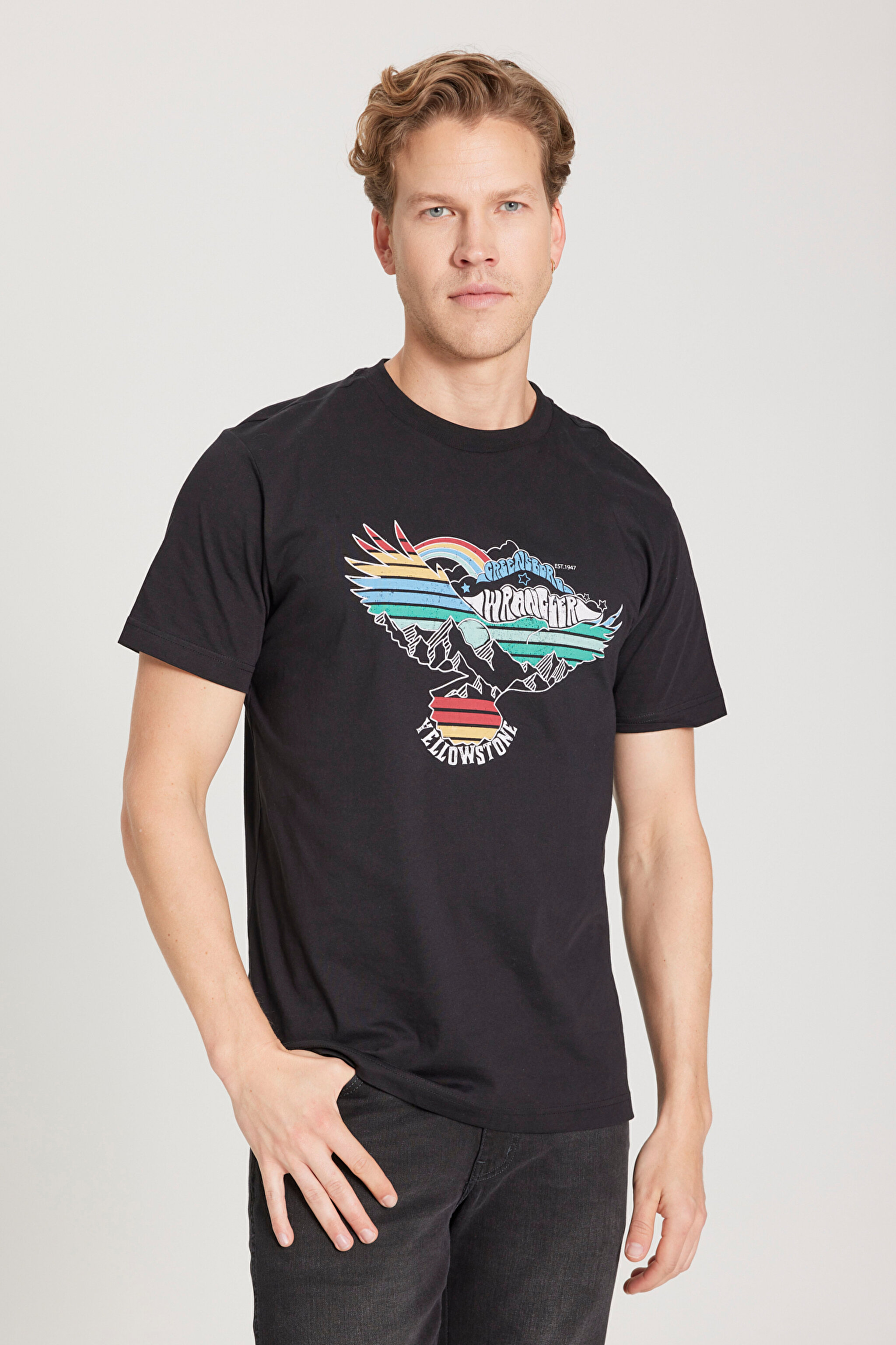 Regular Fit Normal Kesim %100 Pamuk Bisiklet Yaka Siyah Tişört - Black-W231243001 (görsel 2)