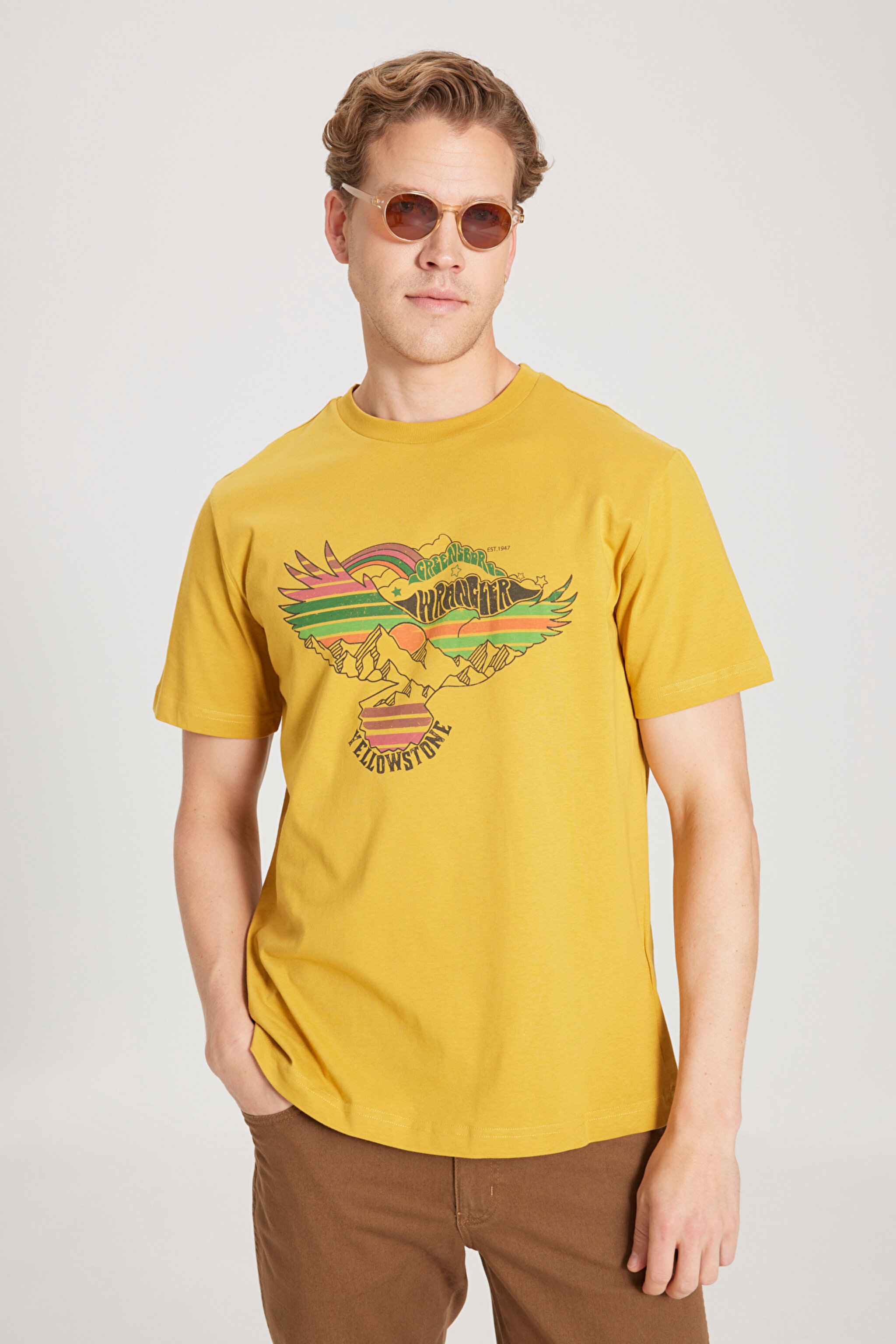 Regular Fit Normal Kesim %100 Pamuk Bisiklet Yaka Sarı Tişört - Yellow-W231243200 (görsel 3)
