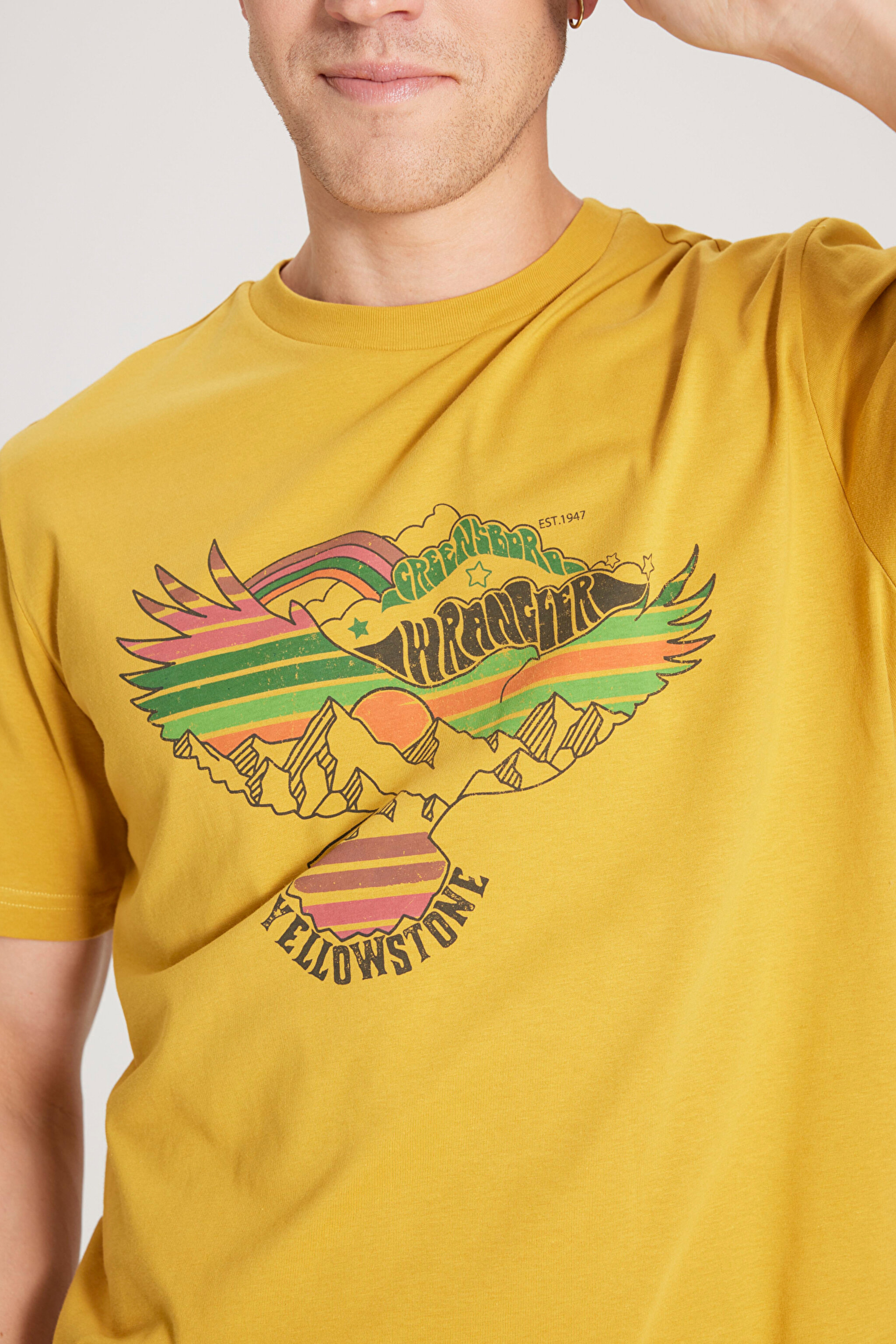 Regular Fit Normal Kesim %100 Pamuk Bisiklet Yaka Sarı Tişört - Yellow-W231243200 (görsel 5)