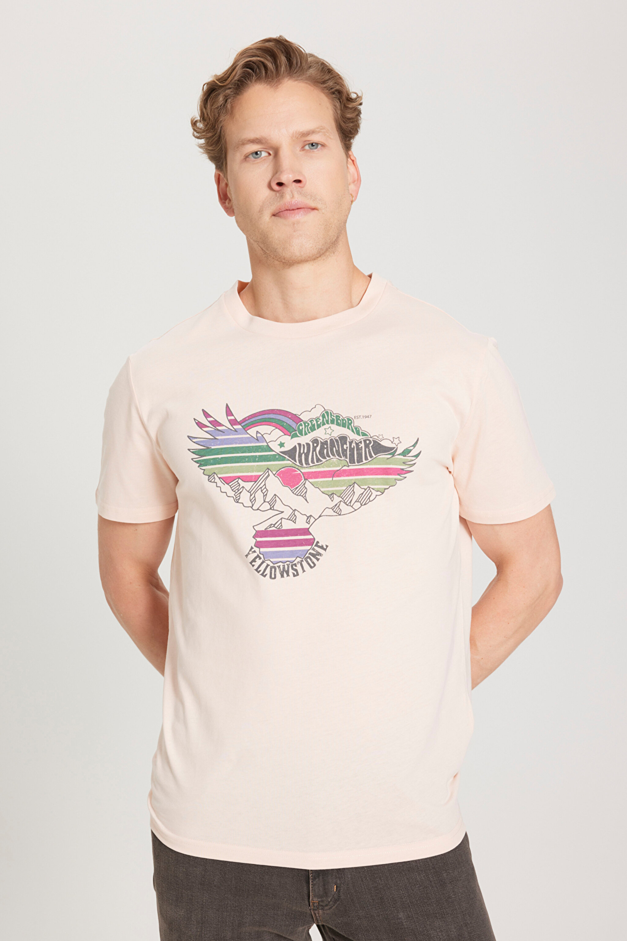 Regular Fit Normal Kesim %100 Pamuk Bisiklet Yaka Açık Pembe Tişört - Light Pink-W231243590