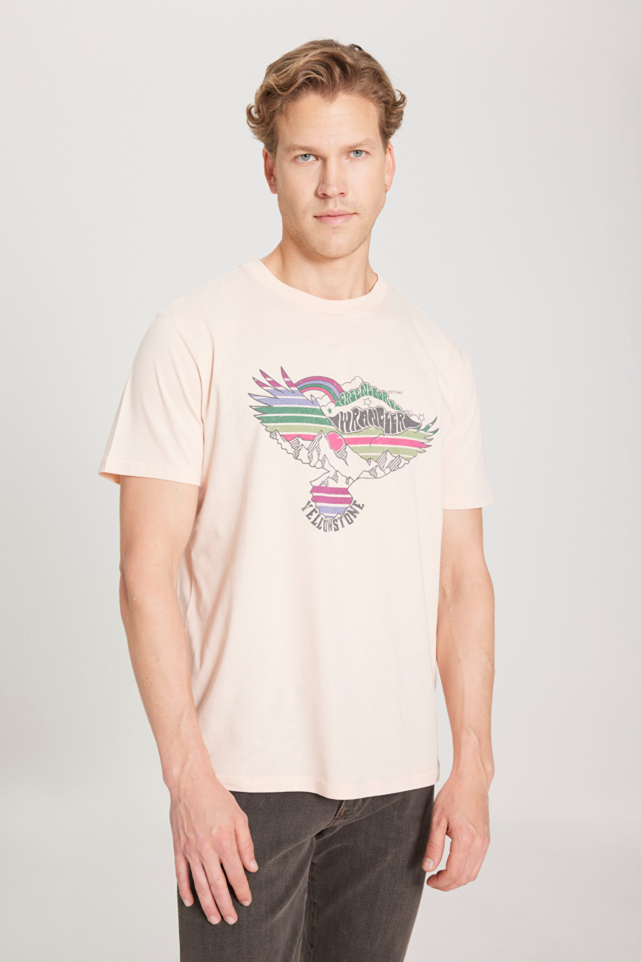 Regular Fit Normal Kesim %100 Pamuk Bisiklet Yaka Açık Pembe Tişört - Light Pink-W231243590 (görsel 3)