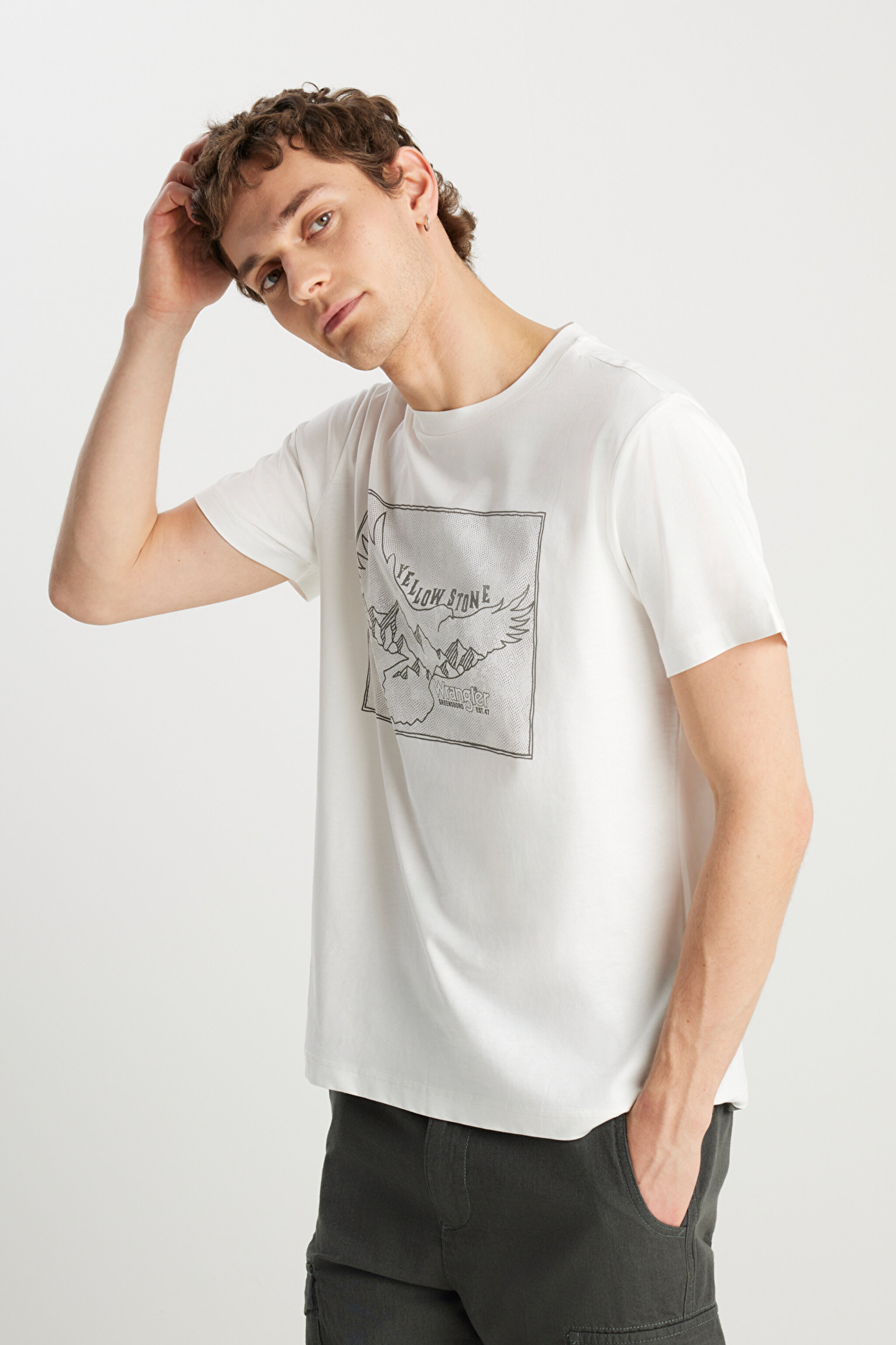 Regular Fit Normal Kesim %100 Pamuk Bisiklet Yaka Kırık Beyaz Tişört - Off White-W231251102 (görsel 2)