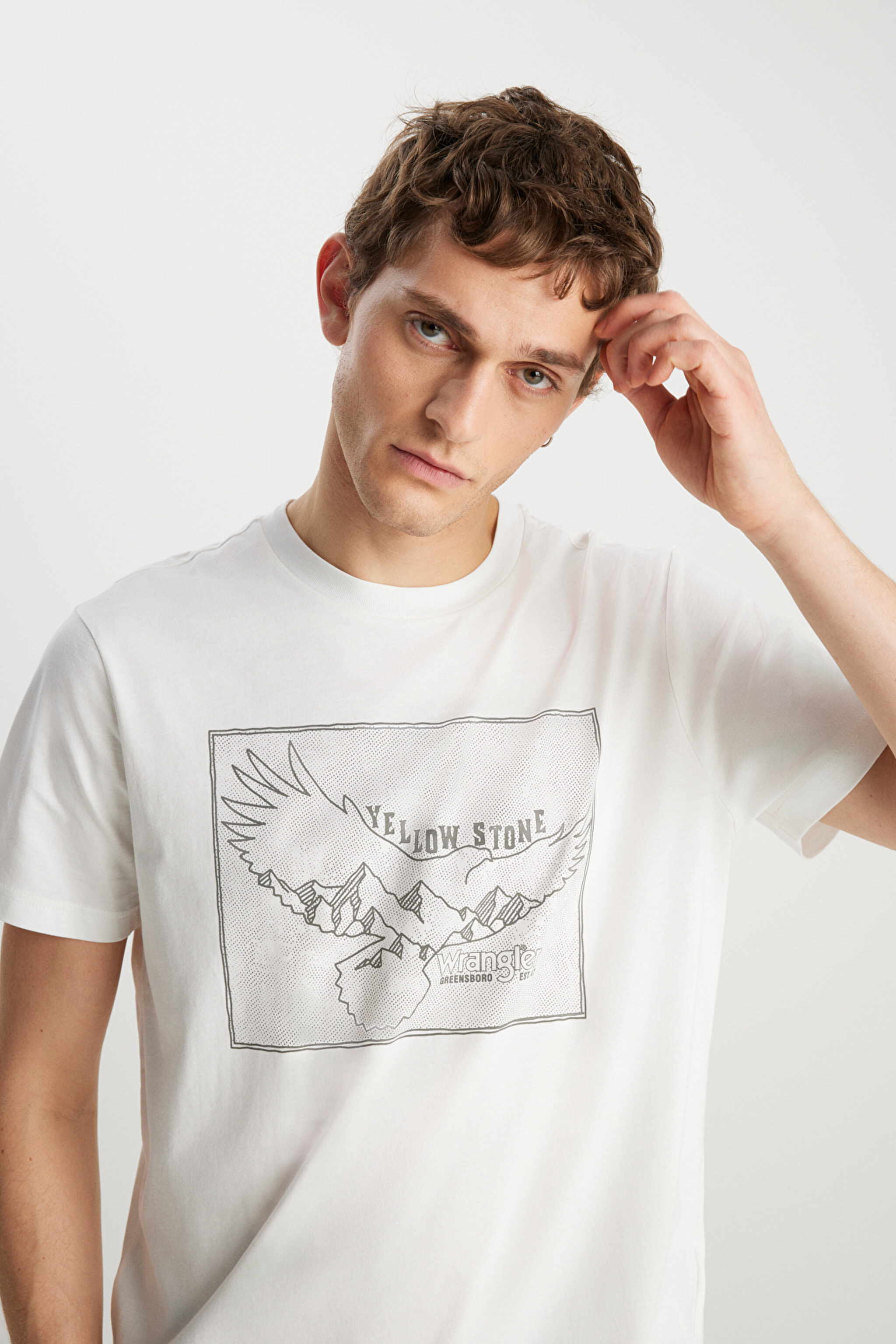 Regular Fit Normal Kesim %100 Pamuk Bisiklet Yaka Kırık Beyaz Tişört - Off White-W231251102 (görsel 4)